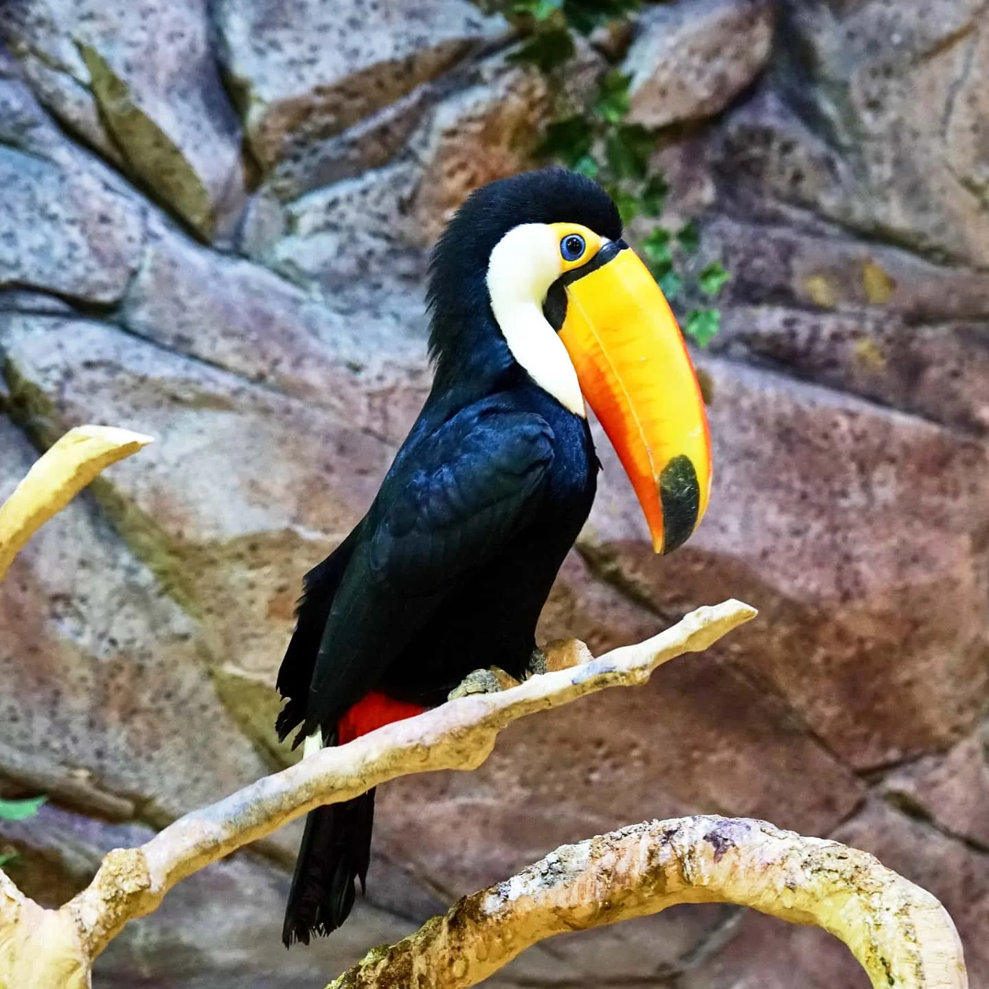 Interior at Zoolung Zoolung Seoul — travel photo