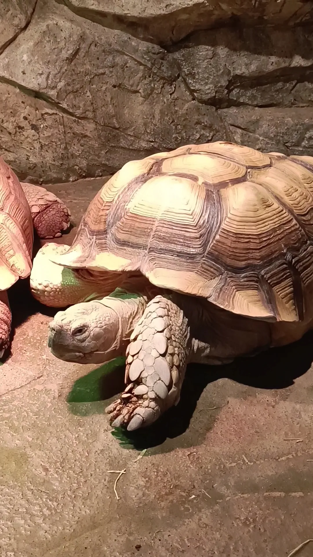 Details at Zoolung Zoolung Seoul — travel photo