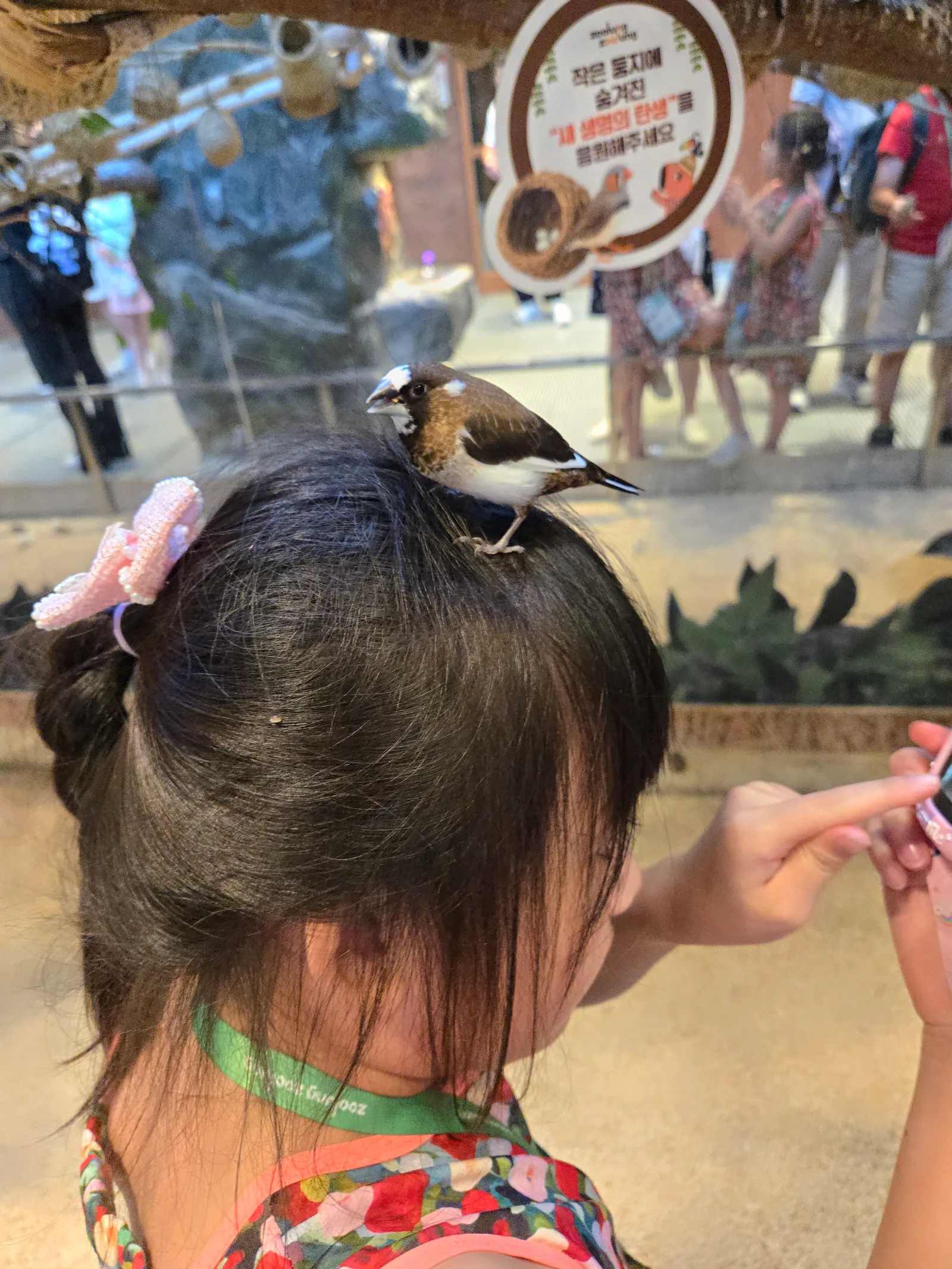 Zoolung Zoolung — family guide Seoul