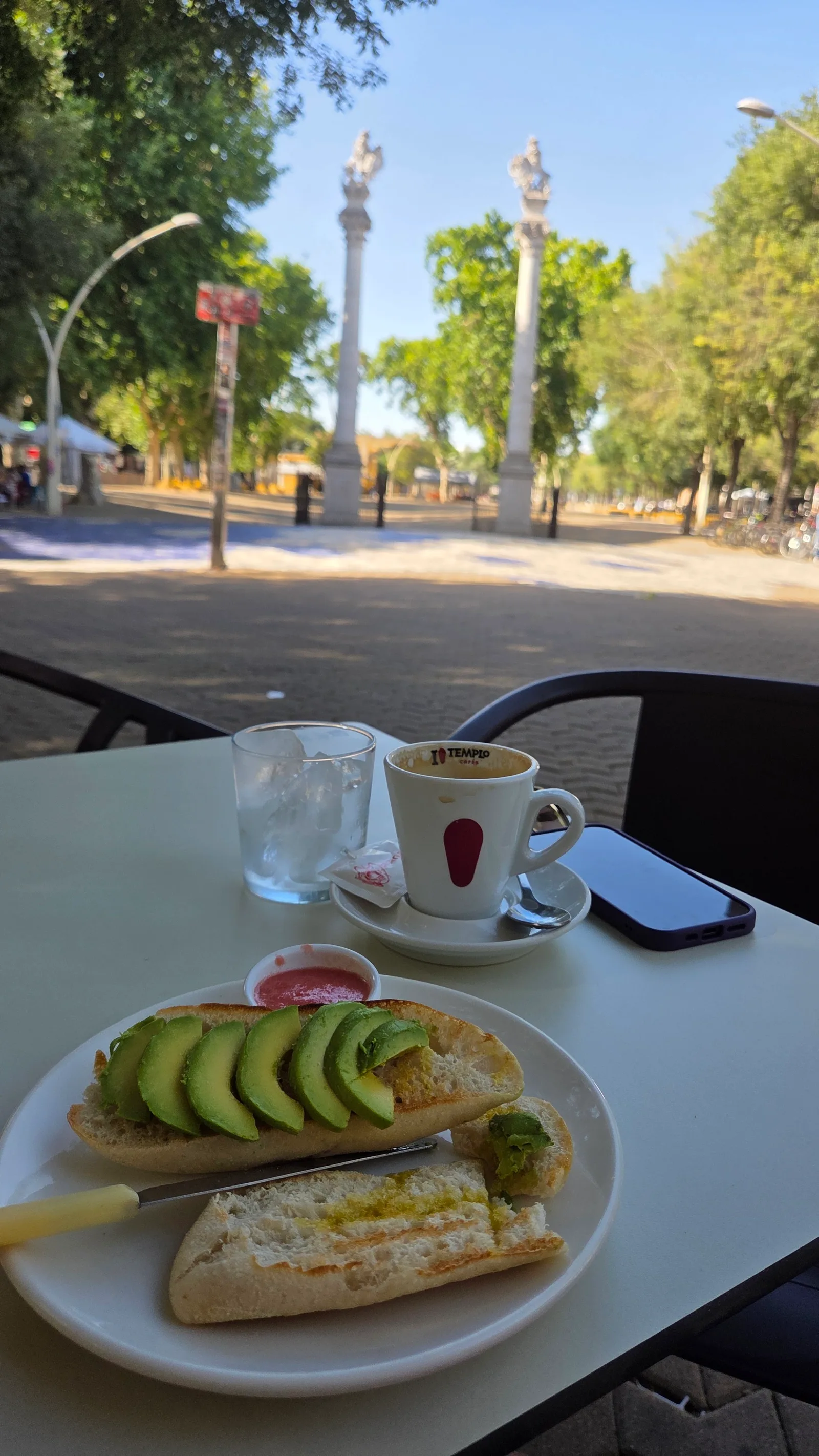 Main view at Alameda de Hércules Seville — travel photo
