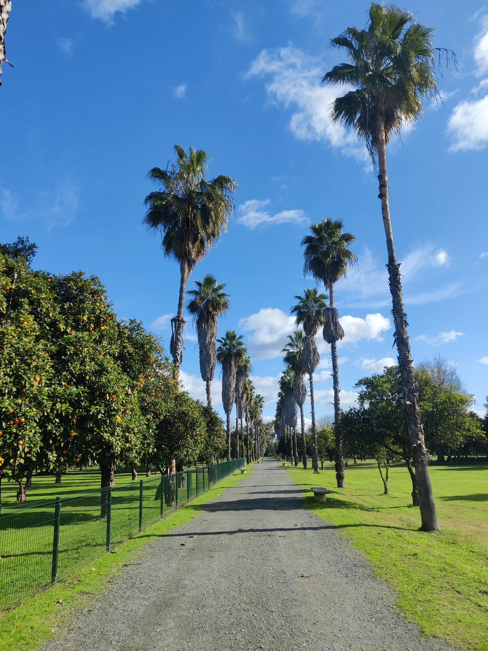 Main view at Alamillo Park Seville — travel photo