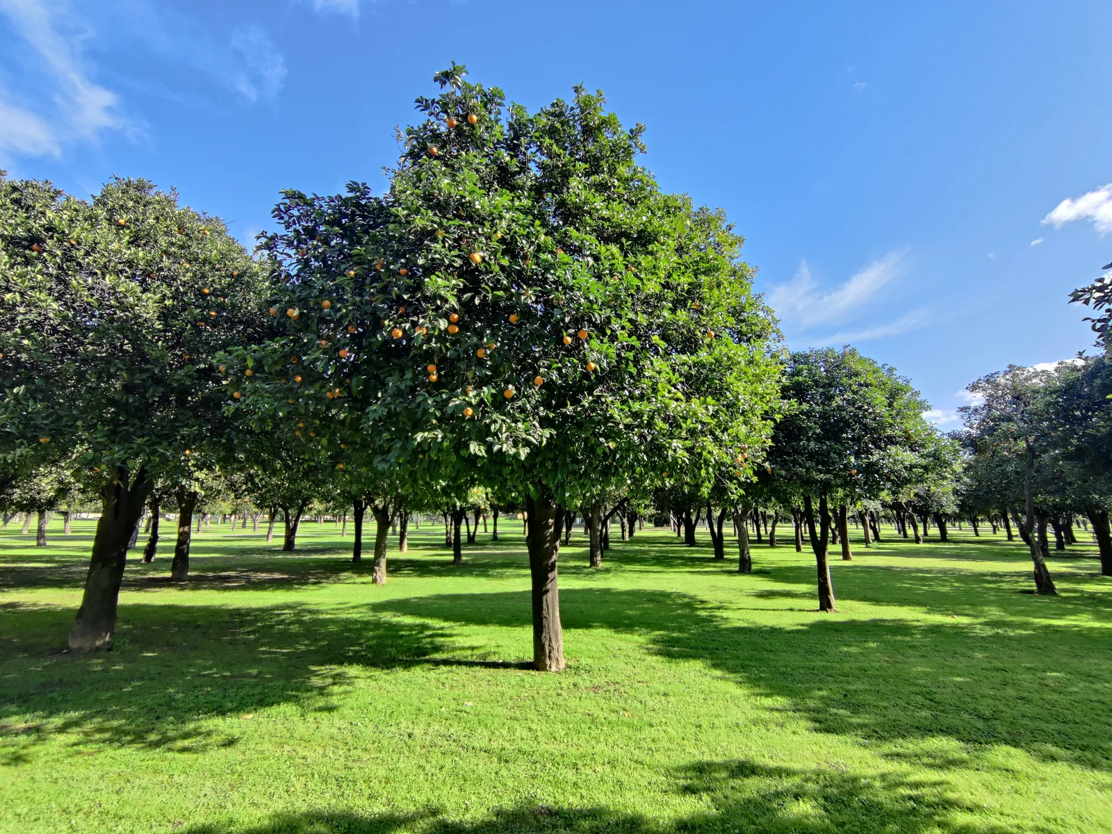 Interior at Alamillo Park Seville — travel photo
