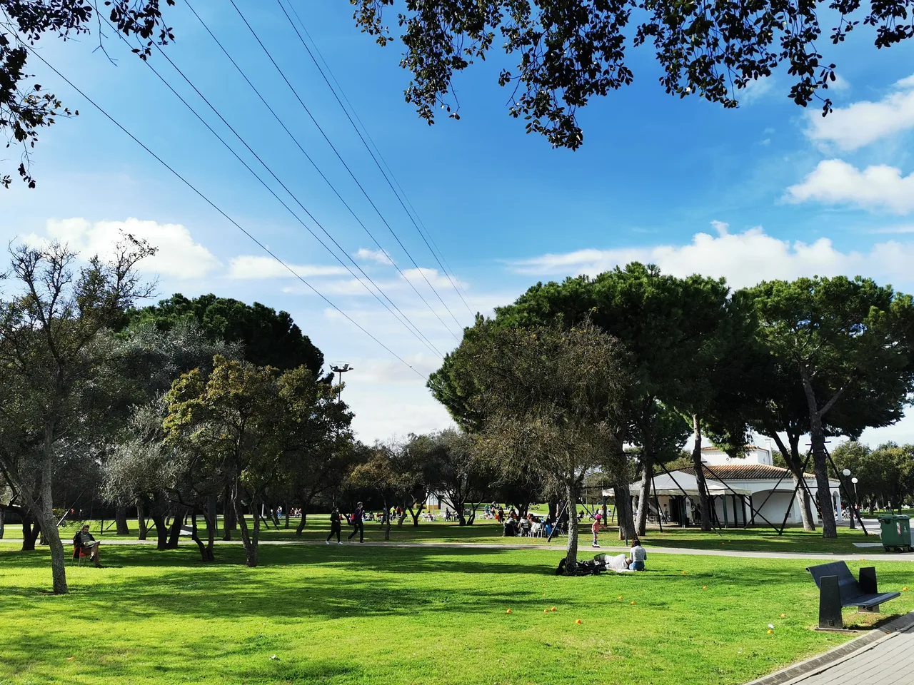 Alamillo Park
