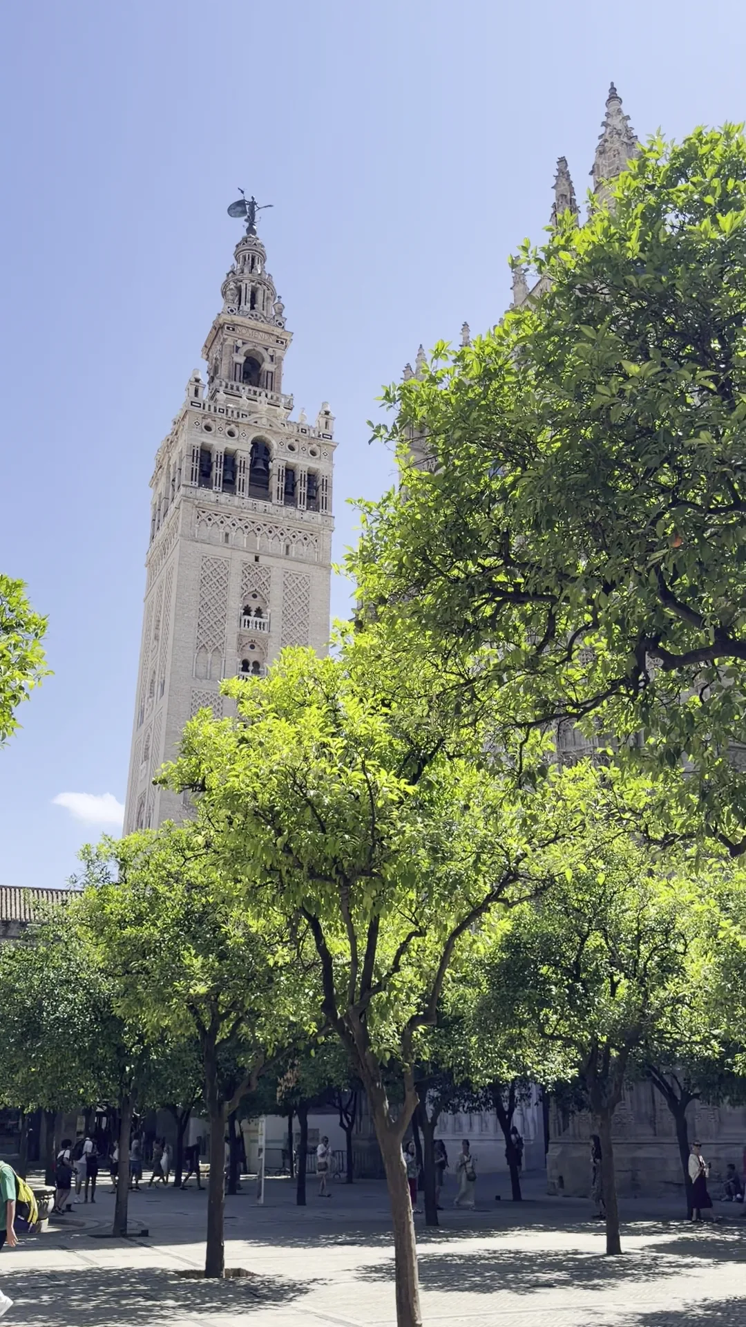 Main view at Catedral de Sevilla Seville — travel photo