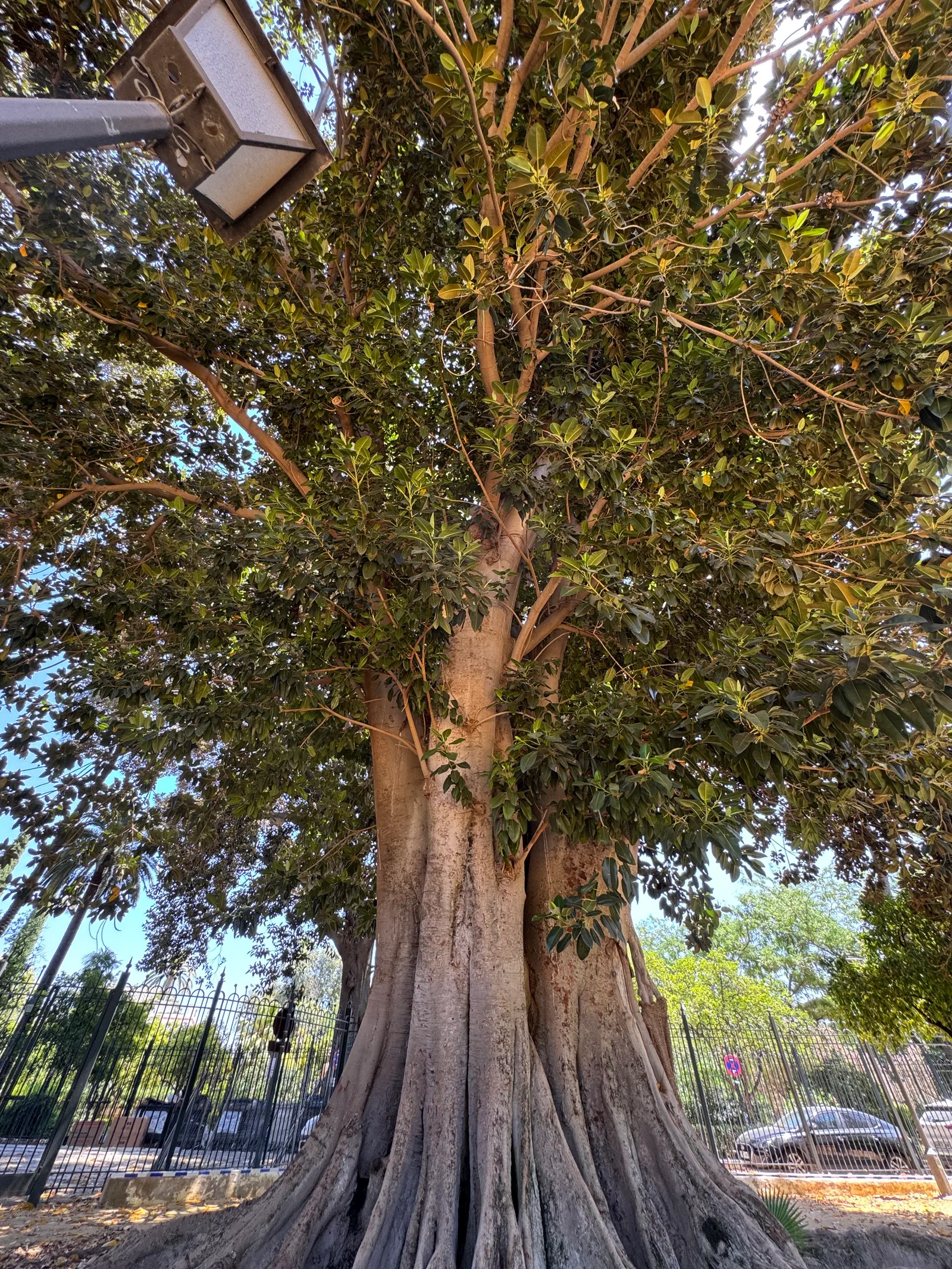 Interior at Garden of the Three Fountains Seville — travel photo