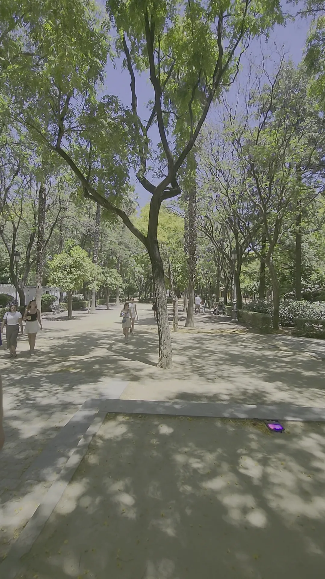 Main view at Jardines del Prado de San Sebastián Seville — travel photo