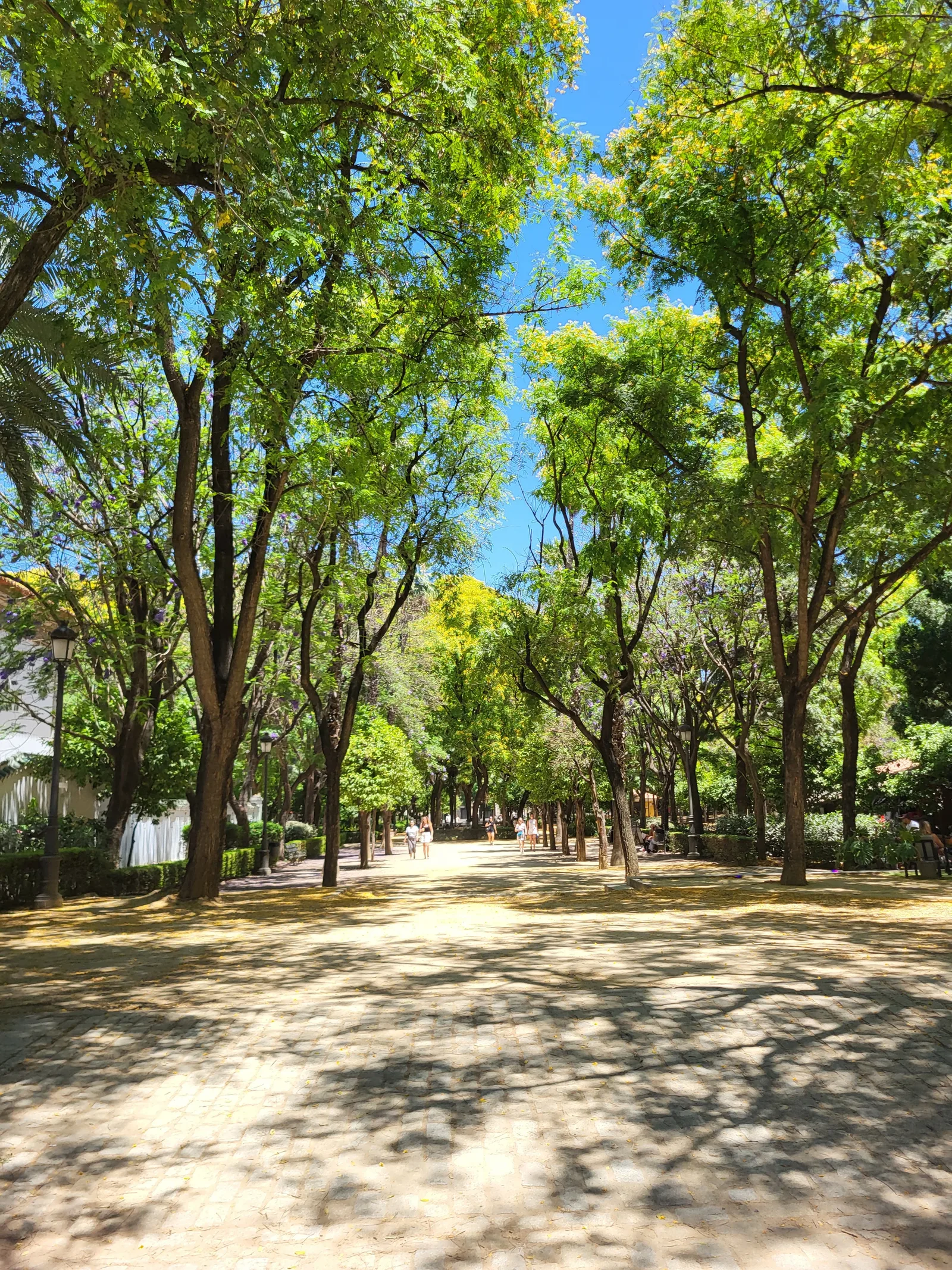 Interior at Jardines del Prado de San Sebastián Seville — travel photo