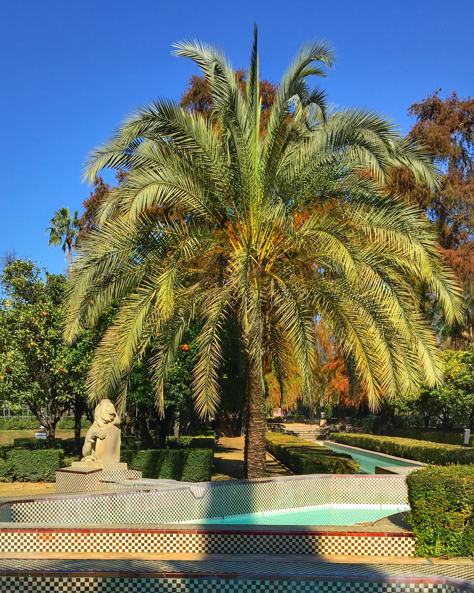 Details at Leones Garden Seville — travel photo