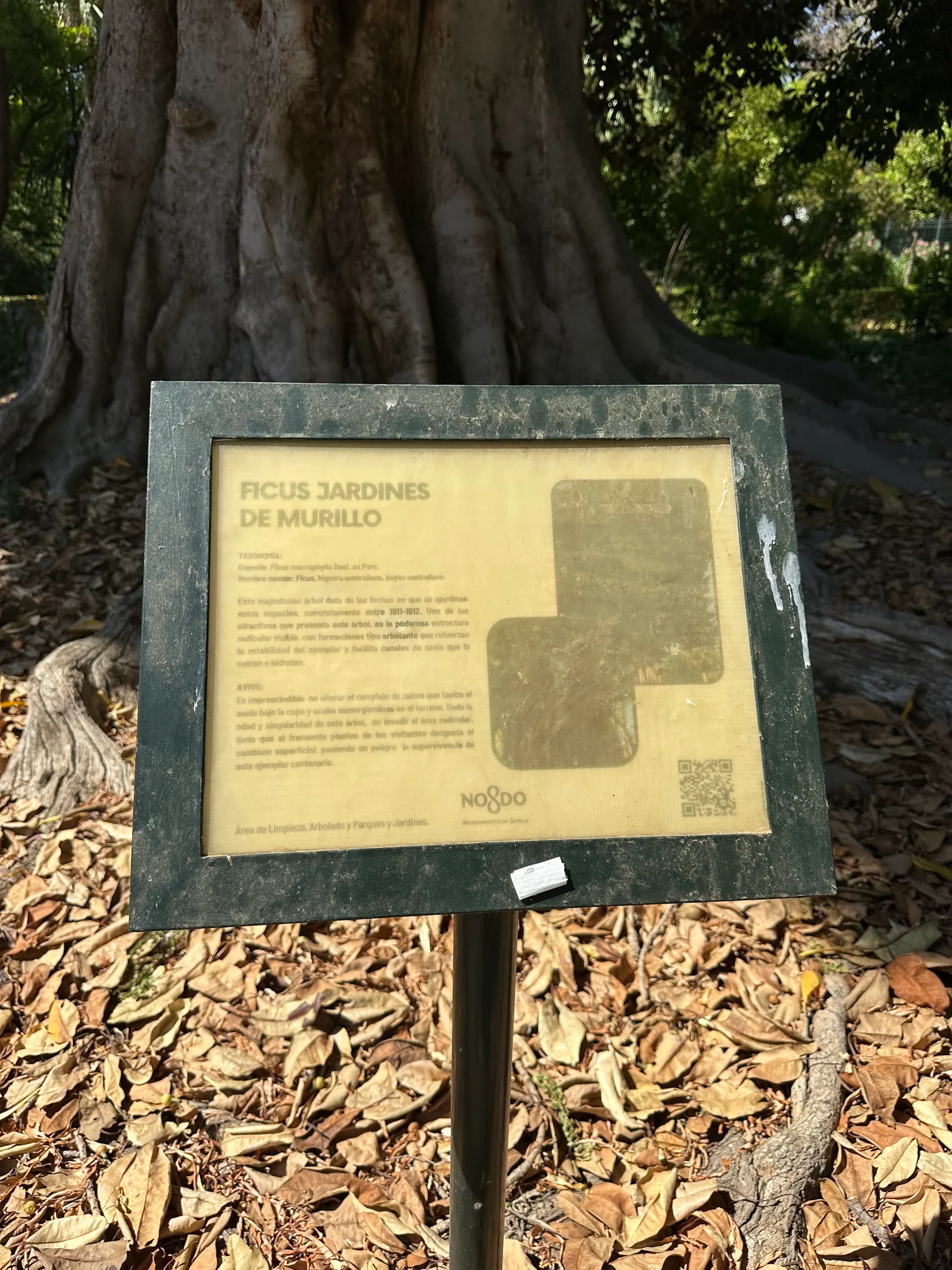Atmosphere at Murillo Gardens Seville — travel photo