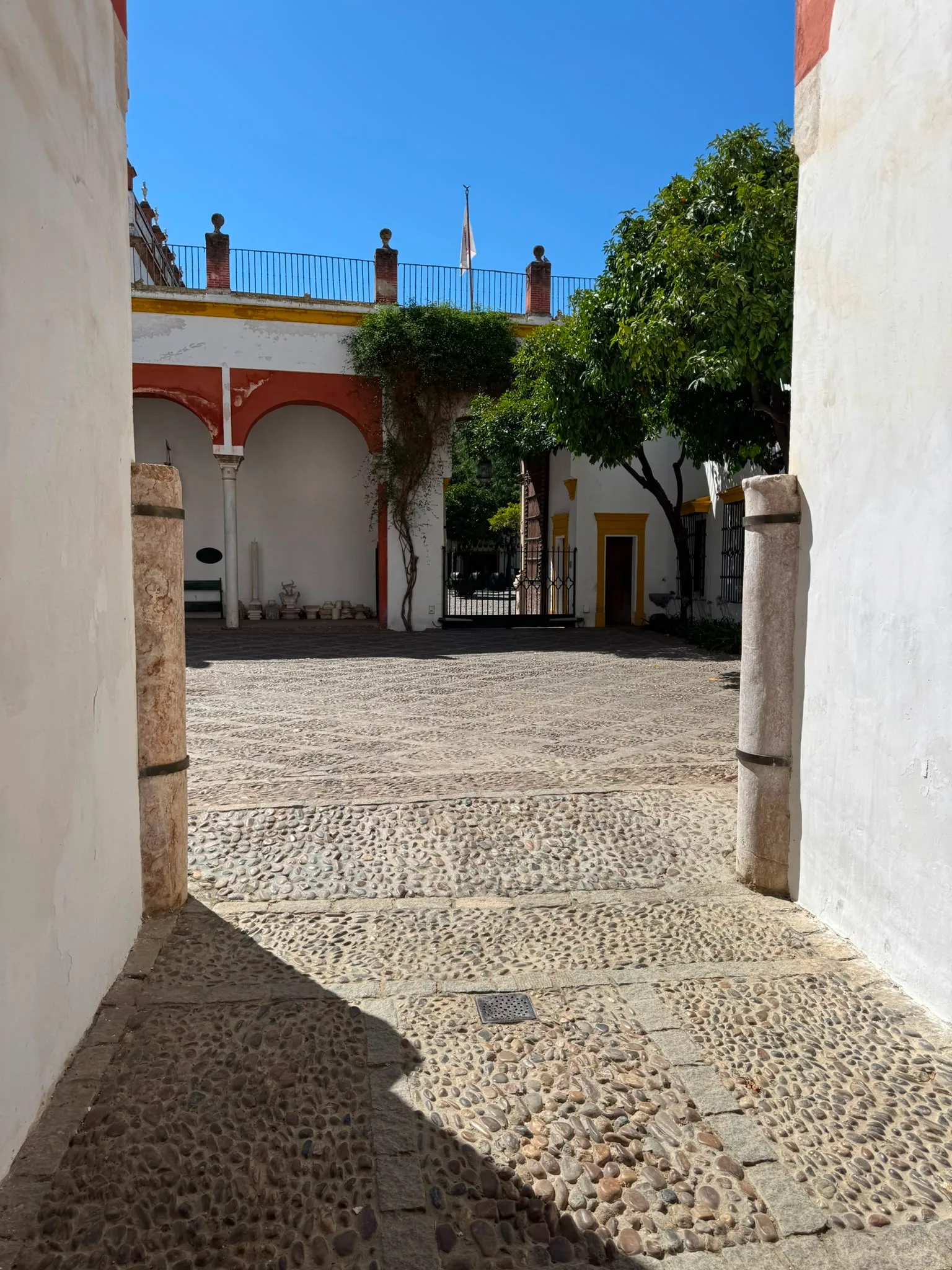 Main view at Palacio de las Dueñas Seville — travel photo