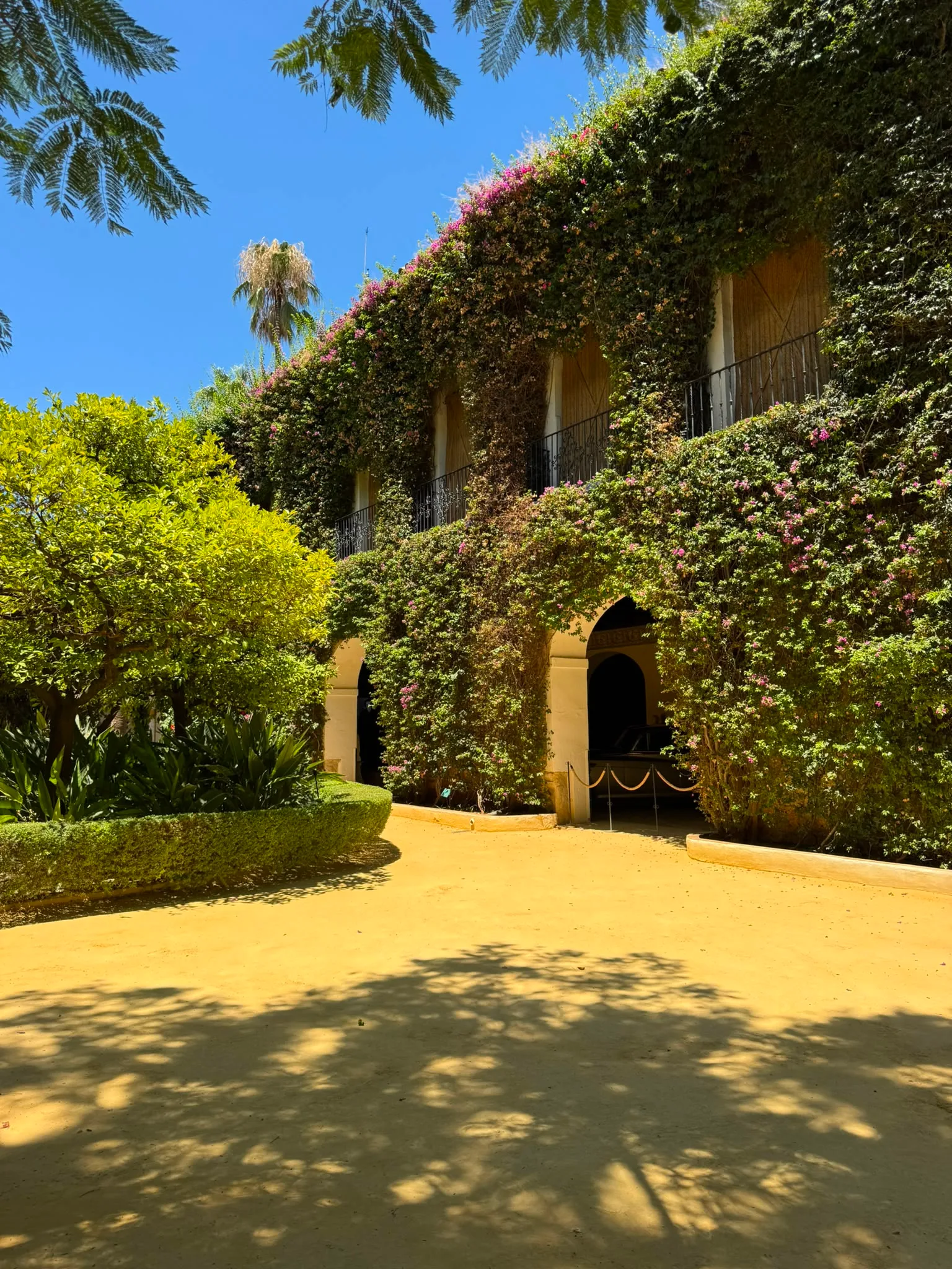 Atmosphere at Palacio de las Dueñas Seville — travel photo