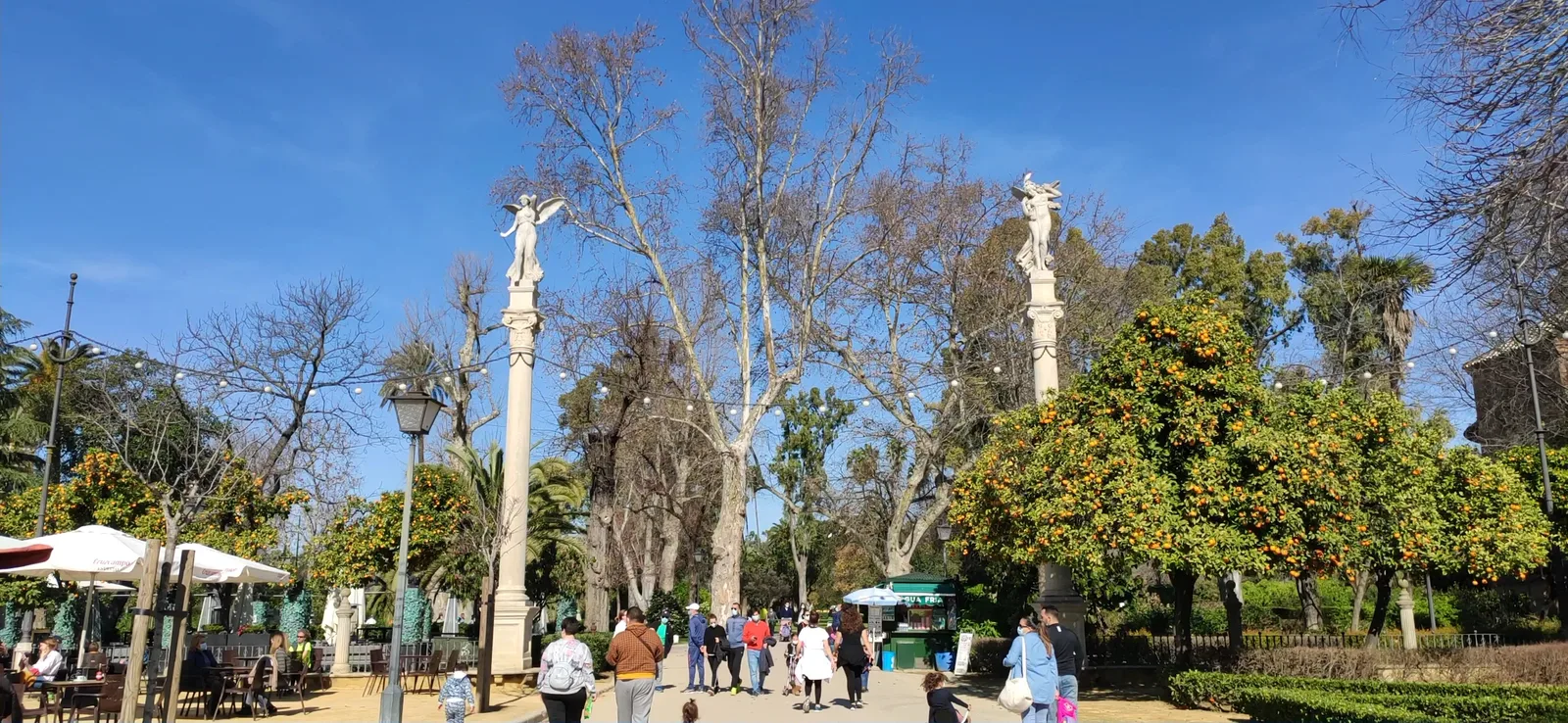 Interior at Parque de las Palomas Seville — travel photo