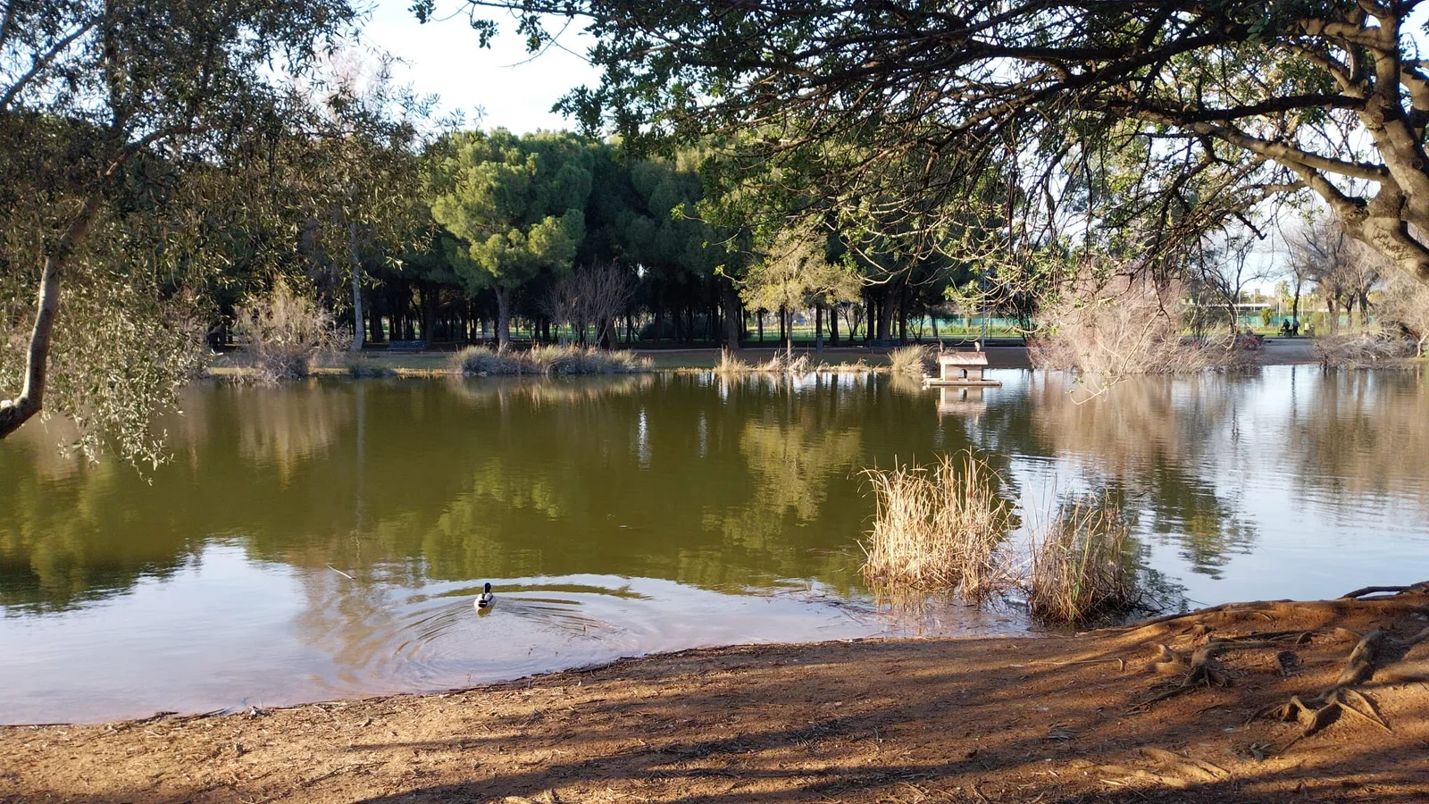 Details at Parque Infanta Elena Seville — travel photo