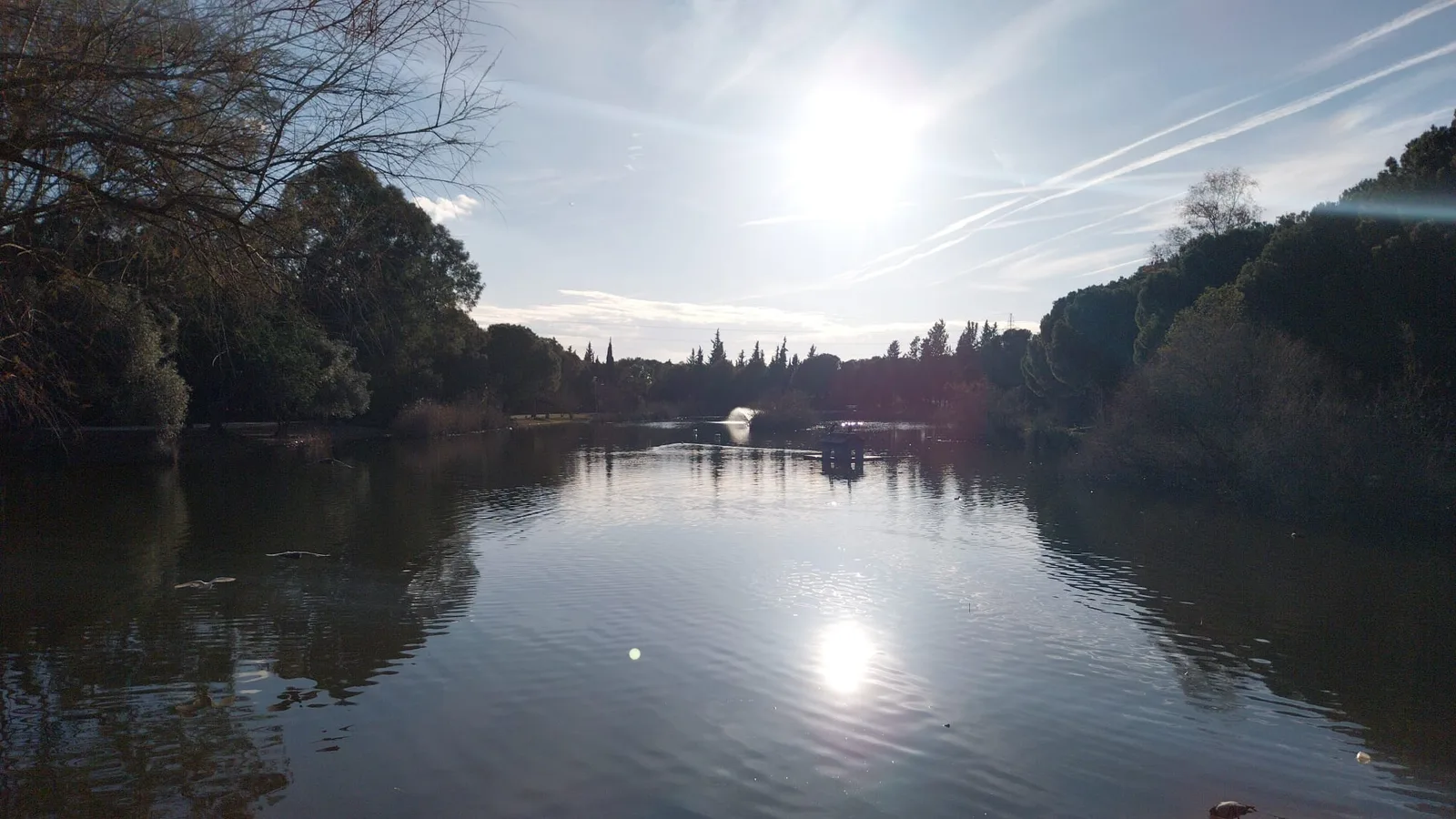 Atmosphere at Parque Infanta Elena Seville — travel photo