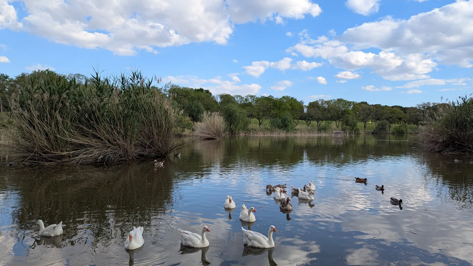 Interior at Parque Miraflores Seville — travel photo