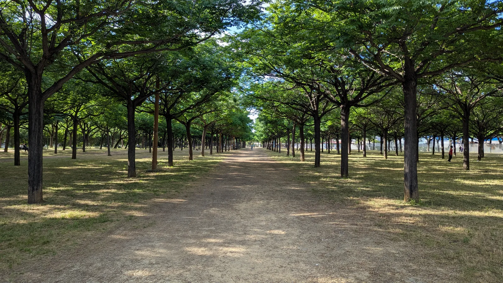 Atmosphere at Parque Miraflores Seville — travel photo