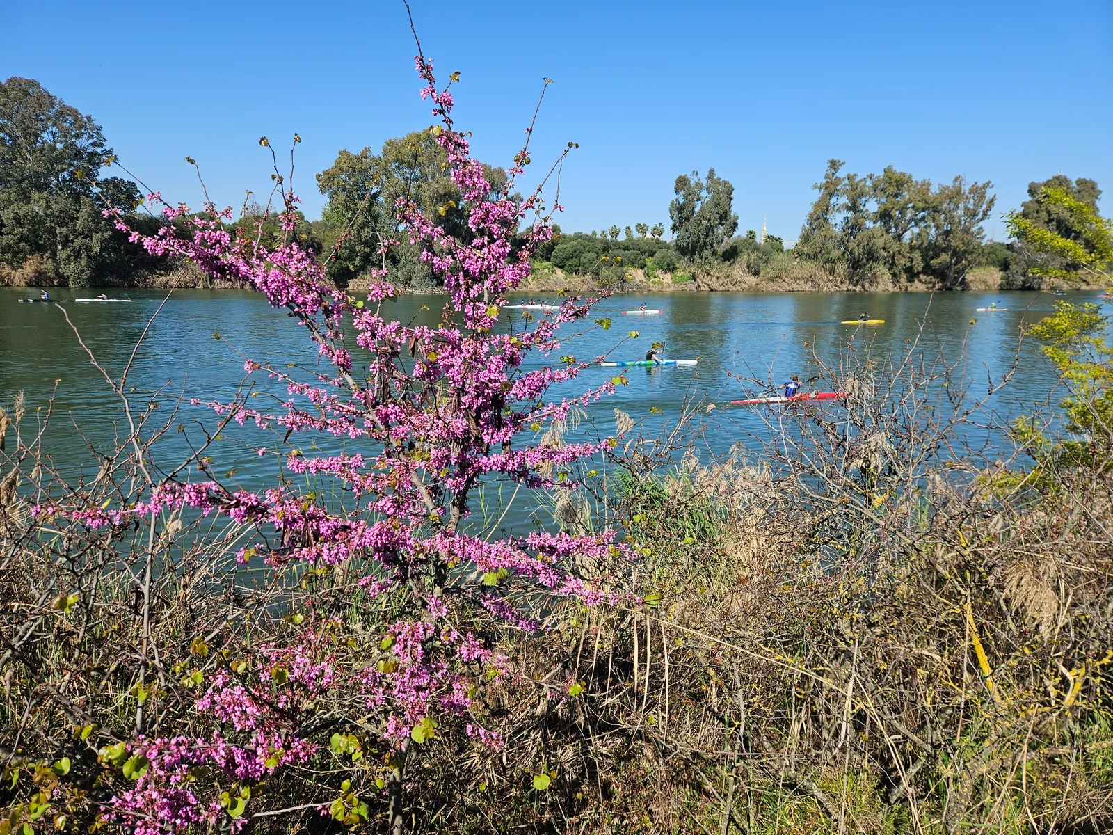 Atmosphere at Parque San Jerónimo Seville — travel photo