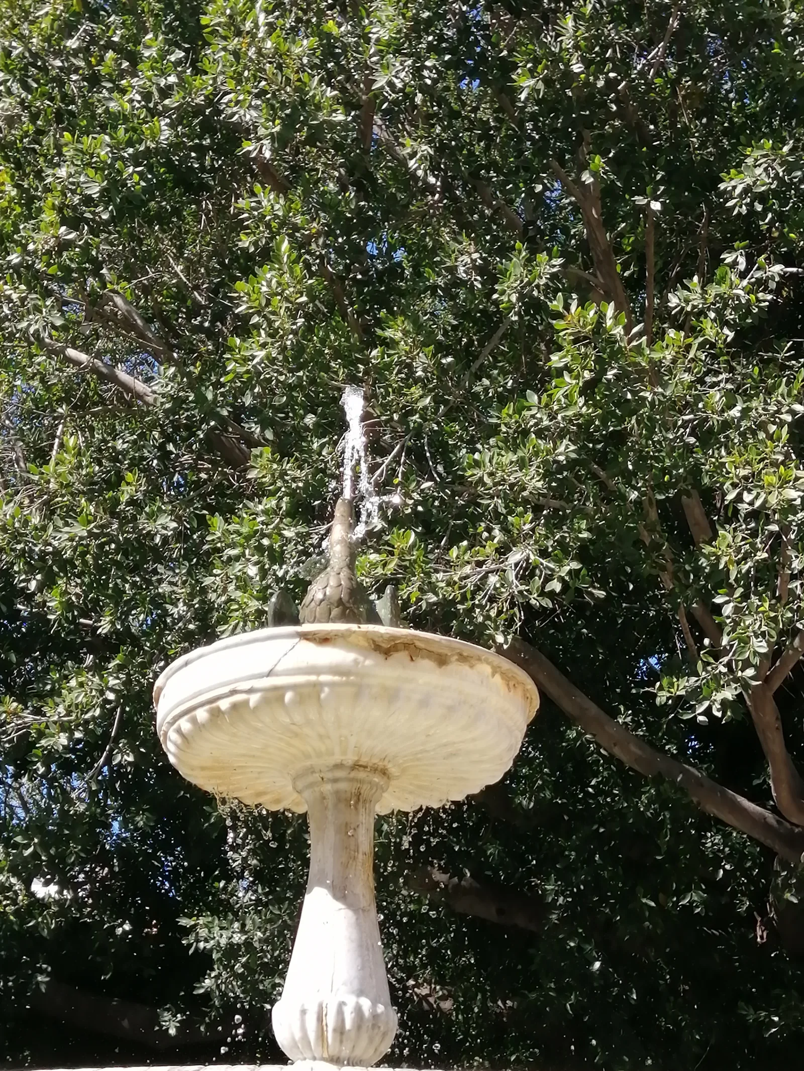 Atmosphere at Plaza de San Leandro Seville — travel photo