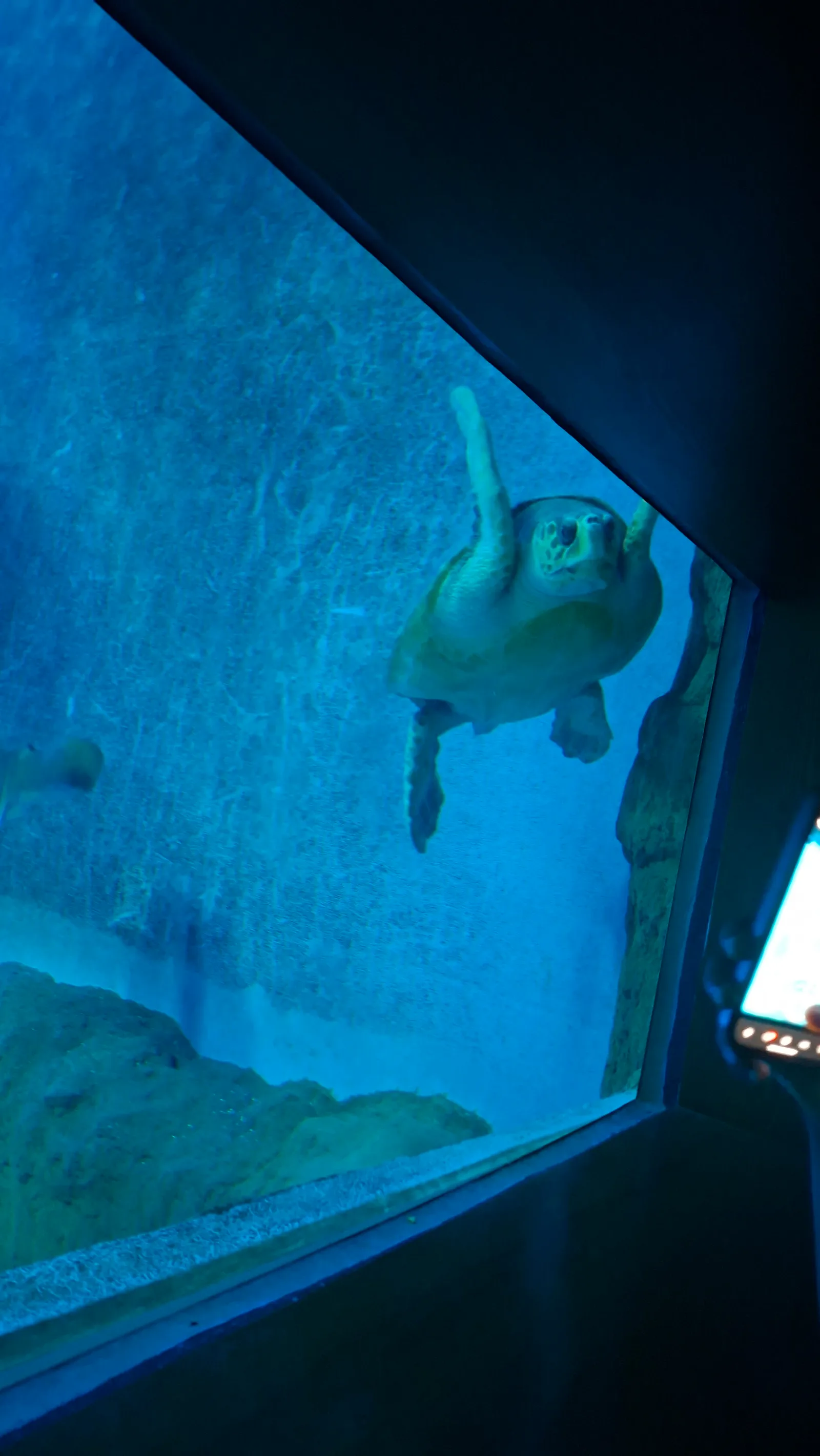 Main view at Sevilla Aquarium Seville — travel photo