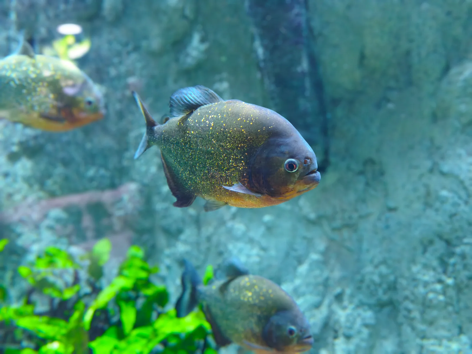 Atmosphere at Sevilla Aquarium Seville — travel photo