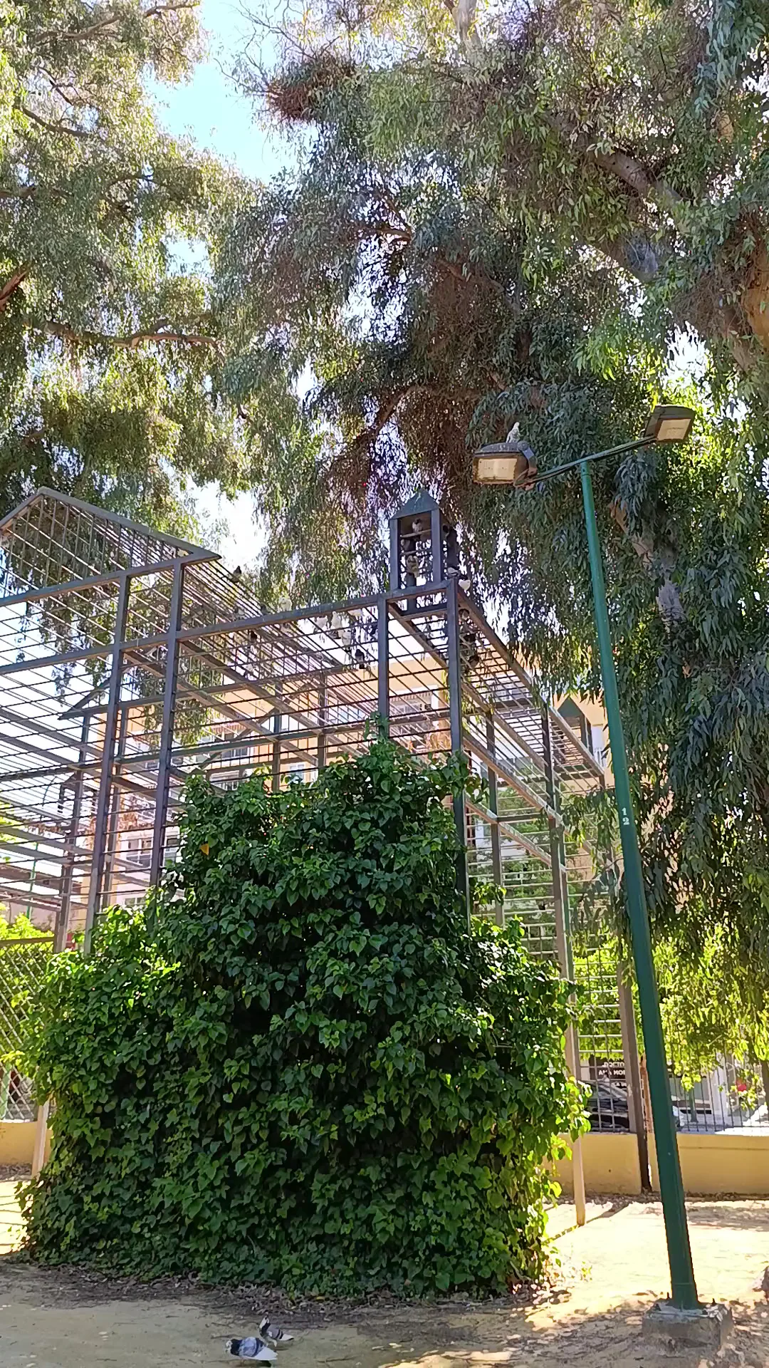 Main view at Valle Garden Seville — travel photo