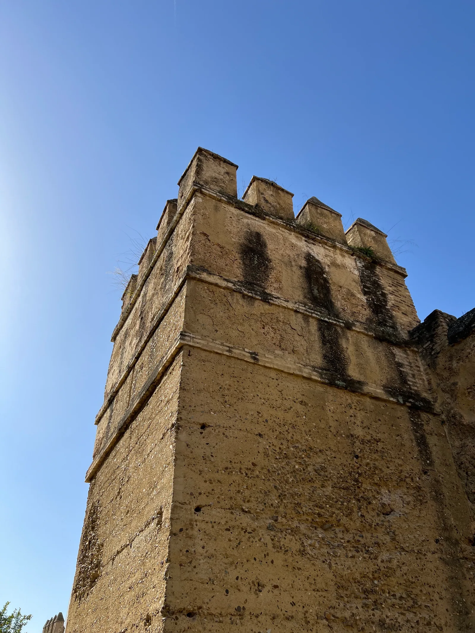 Atmosphere at Valle Garden Seville — travel photo