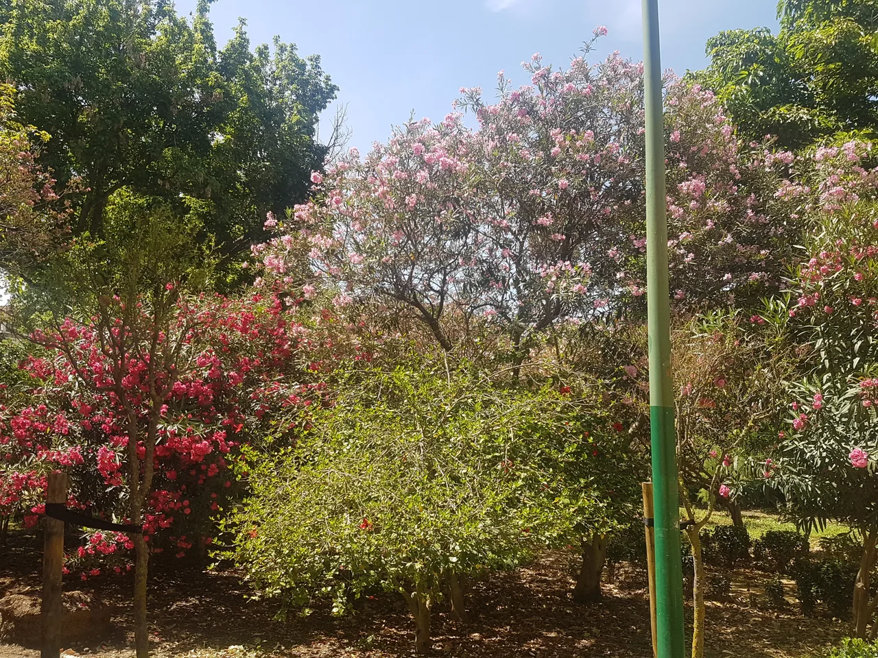 Valle Garden