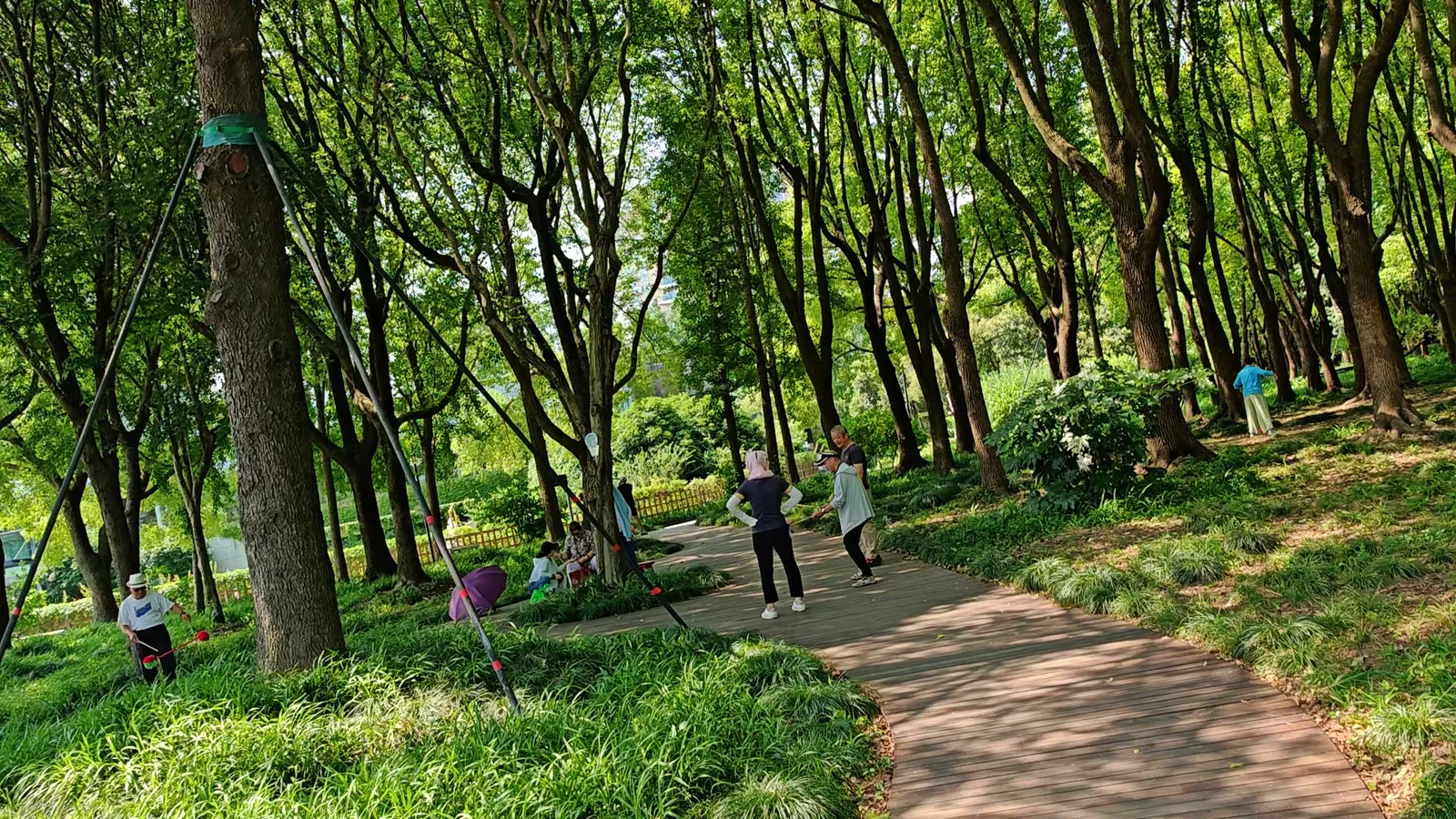 Atmosphere at Century Park Shanghai — travel photo