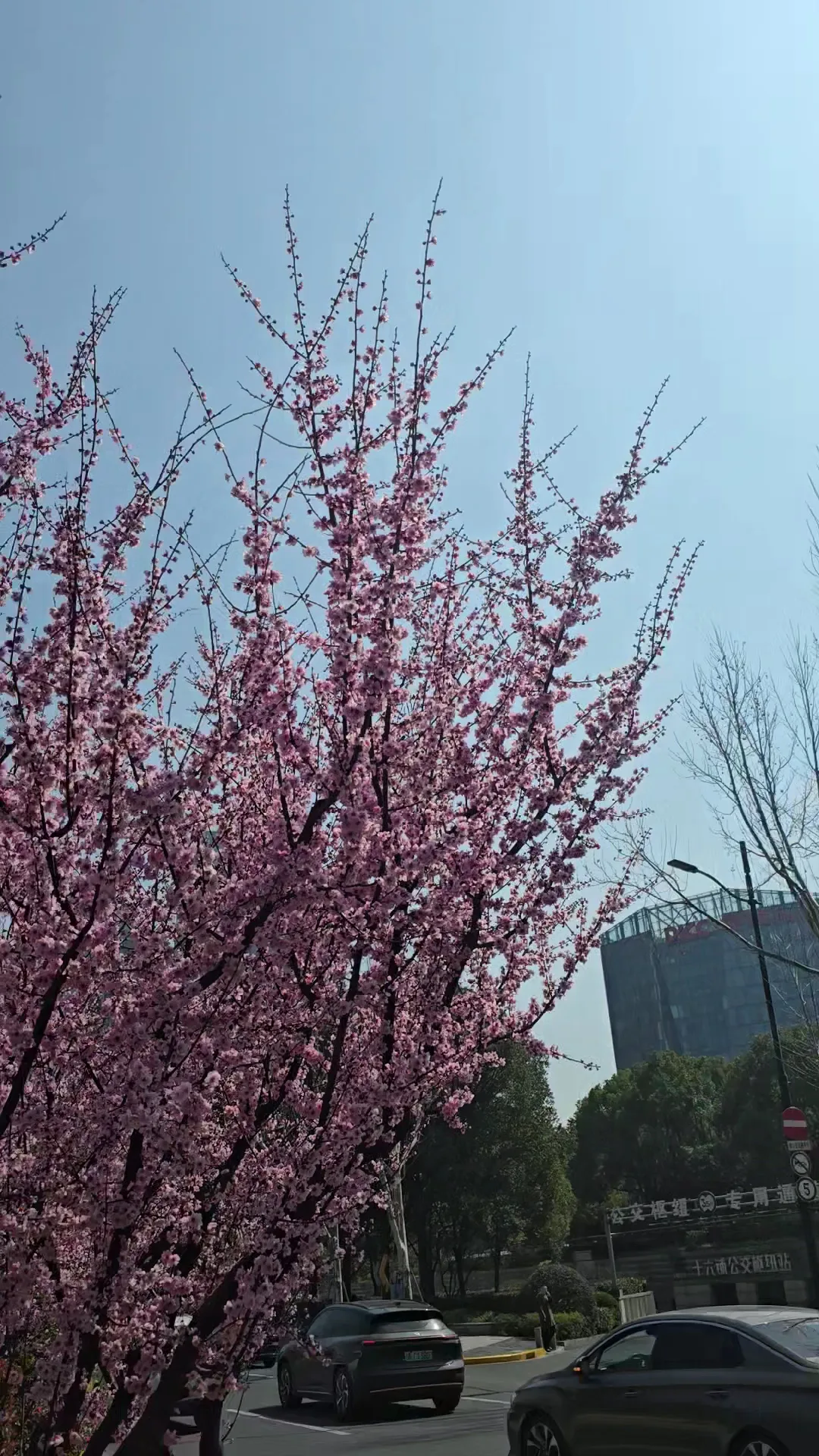 Details at Huangpu Park Shanghai — travel photo
