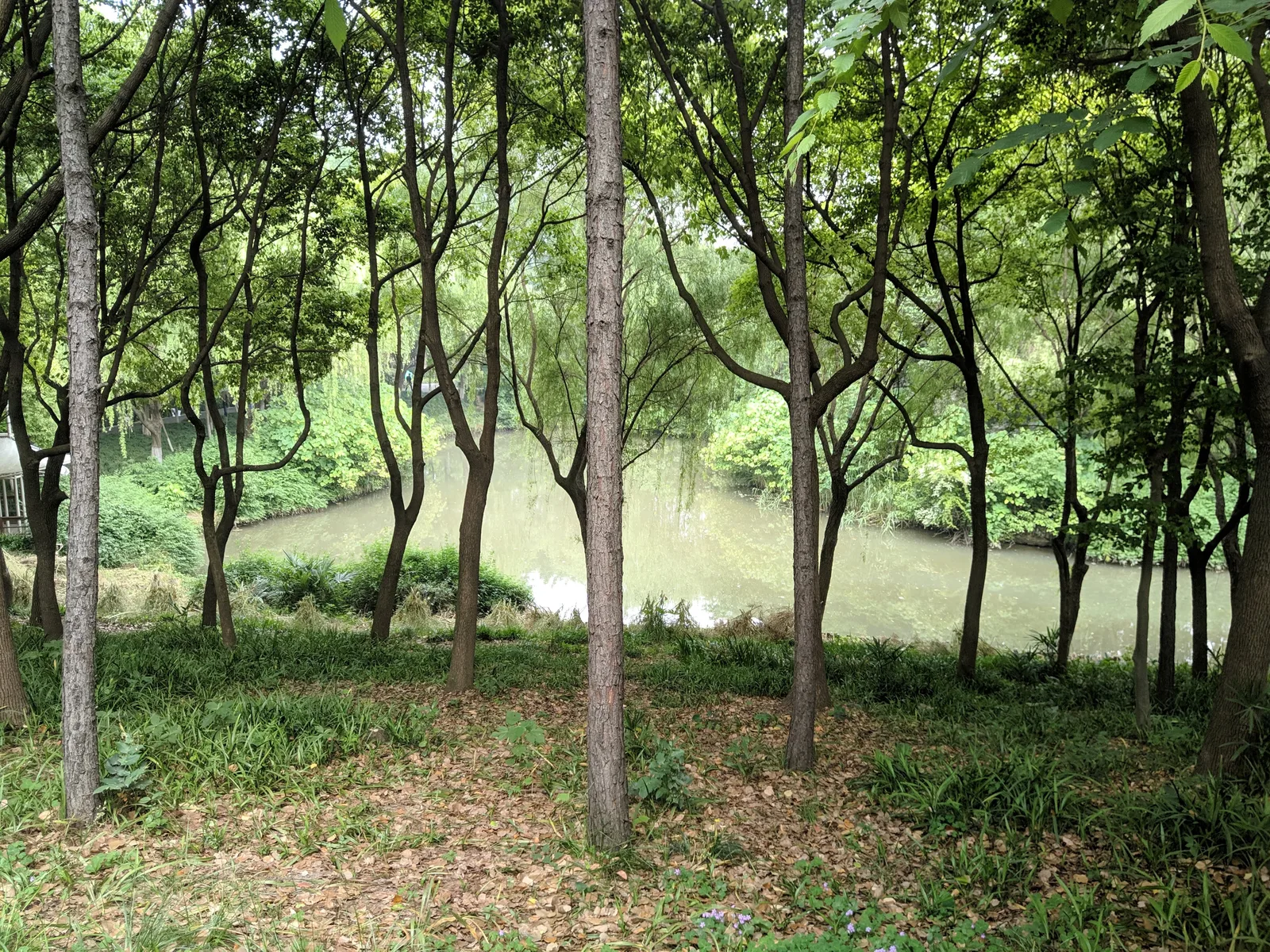 Atmosphere at Minhang Sports Park Shanghai — travel photo
