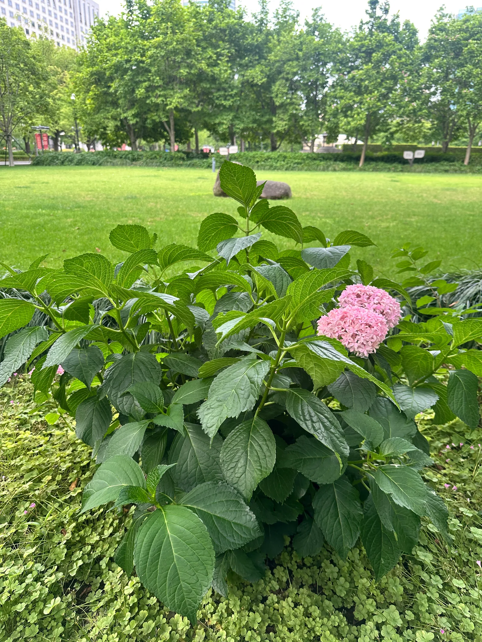 Atmosphere at People's Park Shanghai — travel photo