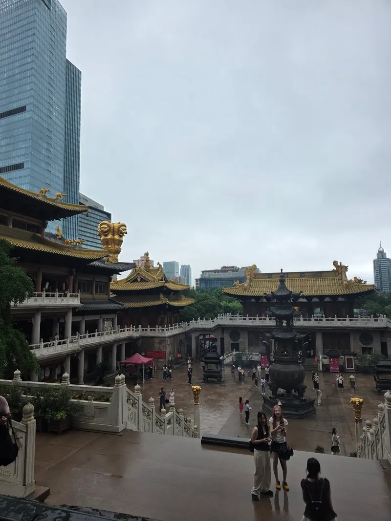 曹家渡花鸟市场