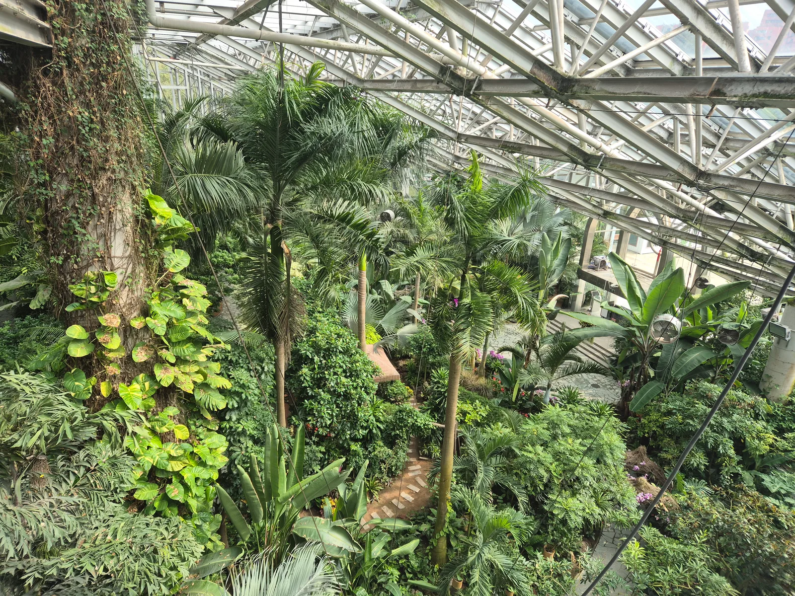 Main view at Shanghai Botanical Garden Shanghai — travel photo