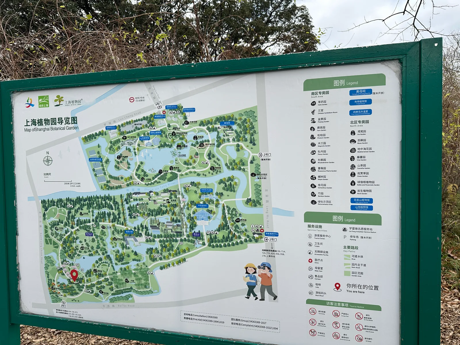 Details at Shanghai Botanical Garden Shanghai — travel photo