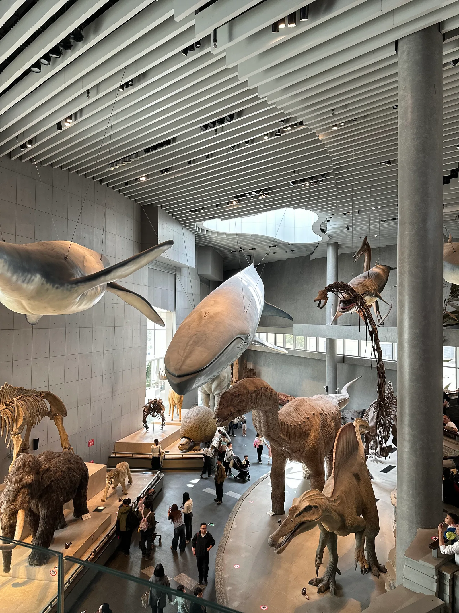 Details at Shanghai Natural History Museum. Shanghai — travel photo