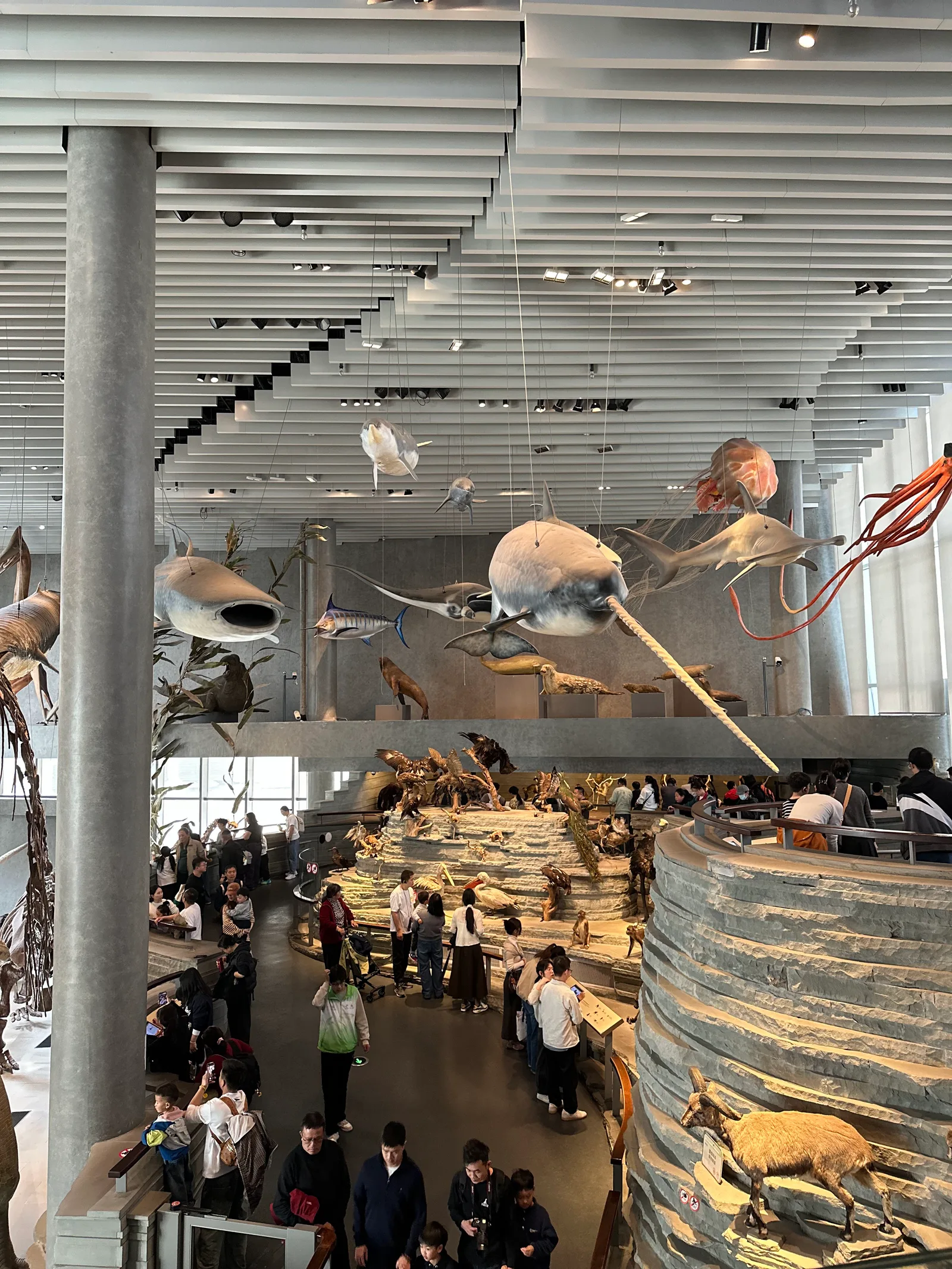 Atmosphere at Shanghai Natural History Museum. Shanghai — travel photo