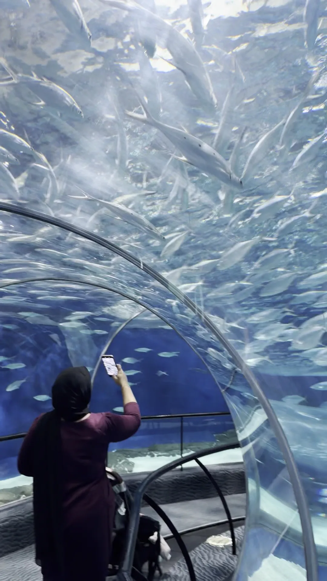 Atmosphere at Shanghai Ocean Aquarium Shanghai — travel photo