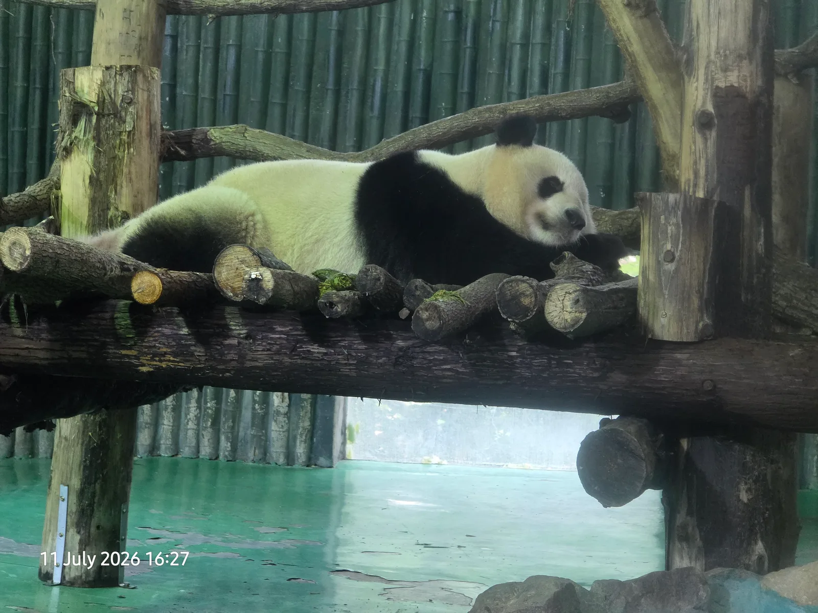 Interior at Shanghai Zoo Shanghai — travel photo
