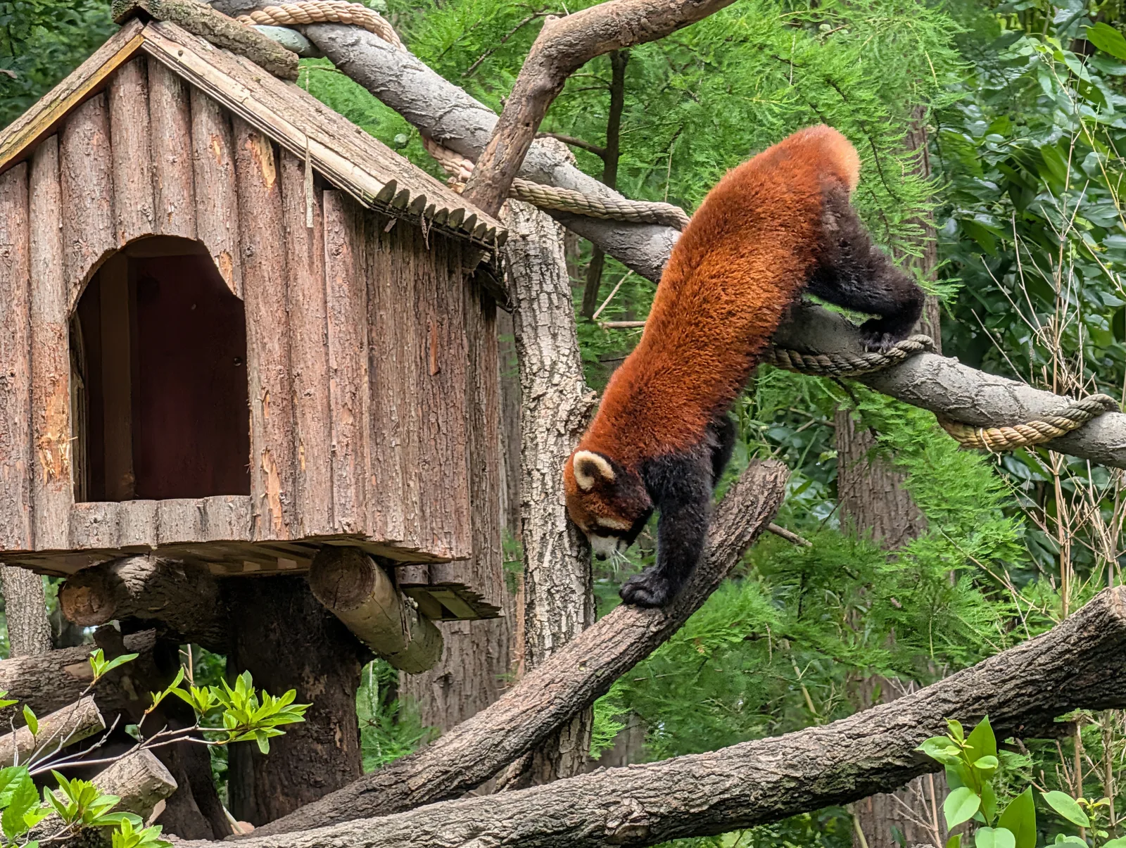 Shanghai Zoo β family guide Shanghai