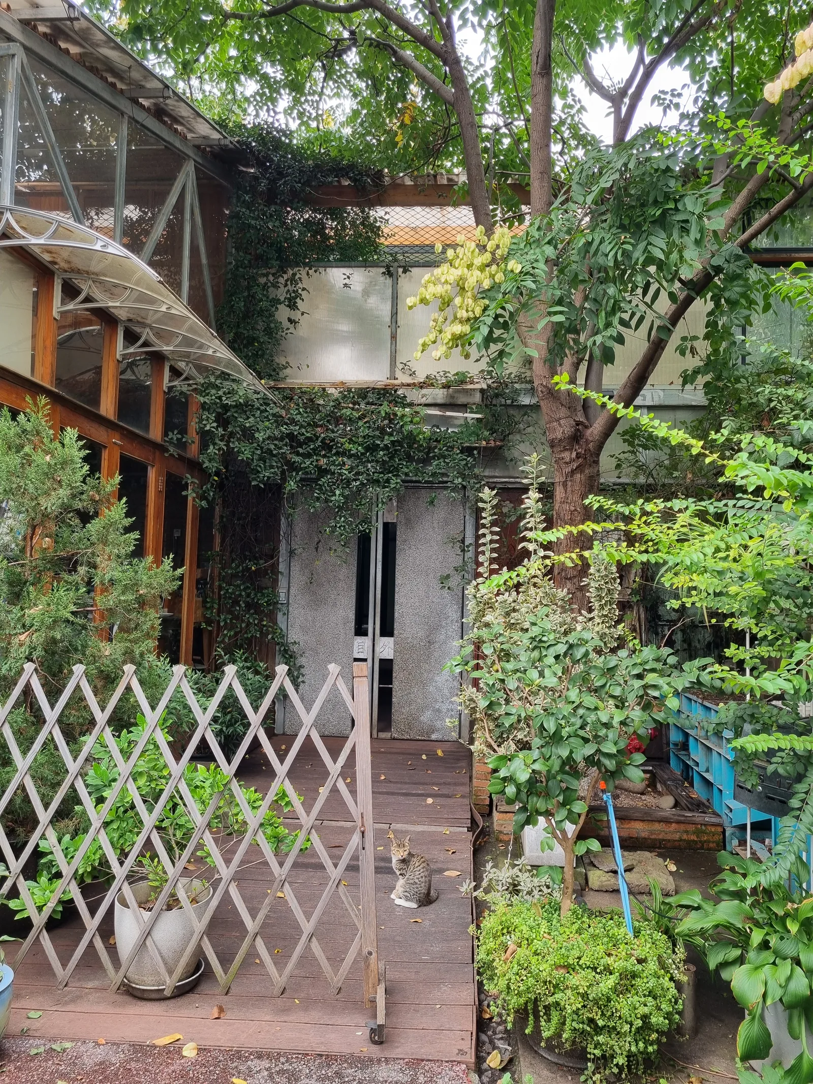 Atmosphere at West Bund Artistic Center Shanghai — travel photo