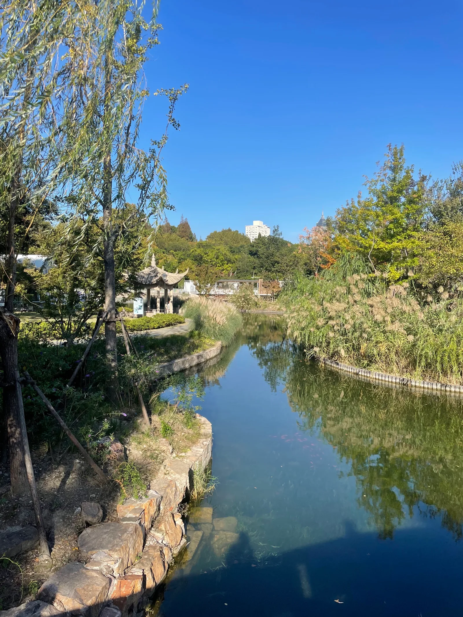 Atmosphere at Zhongshan Park Shanghai — travel photo