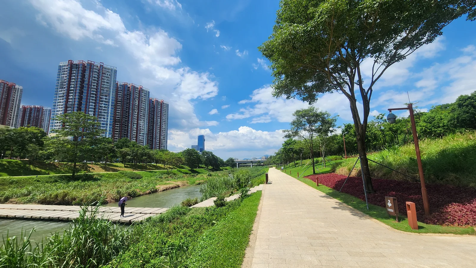 Main view at Dashahe Ecology Corridor Shenzhen — travel photo