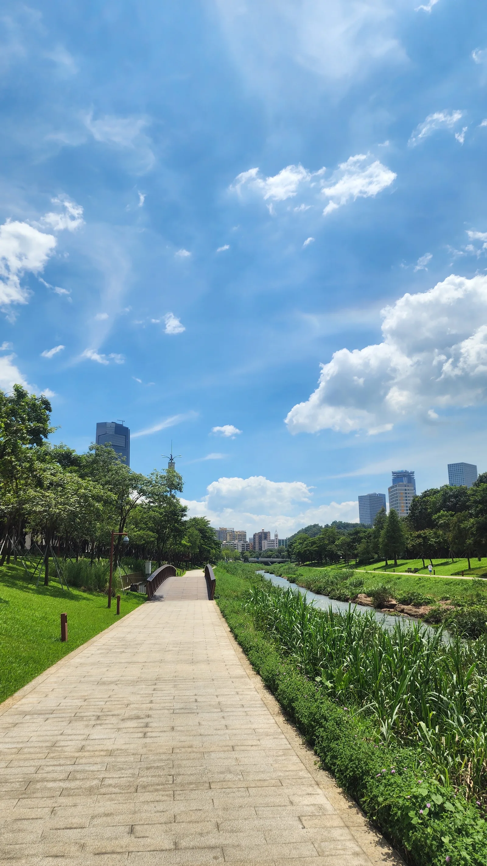 Details at Dashahe Ecology Corridor Shenzhen — travel photo