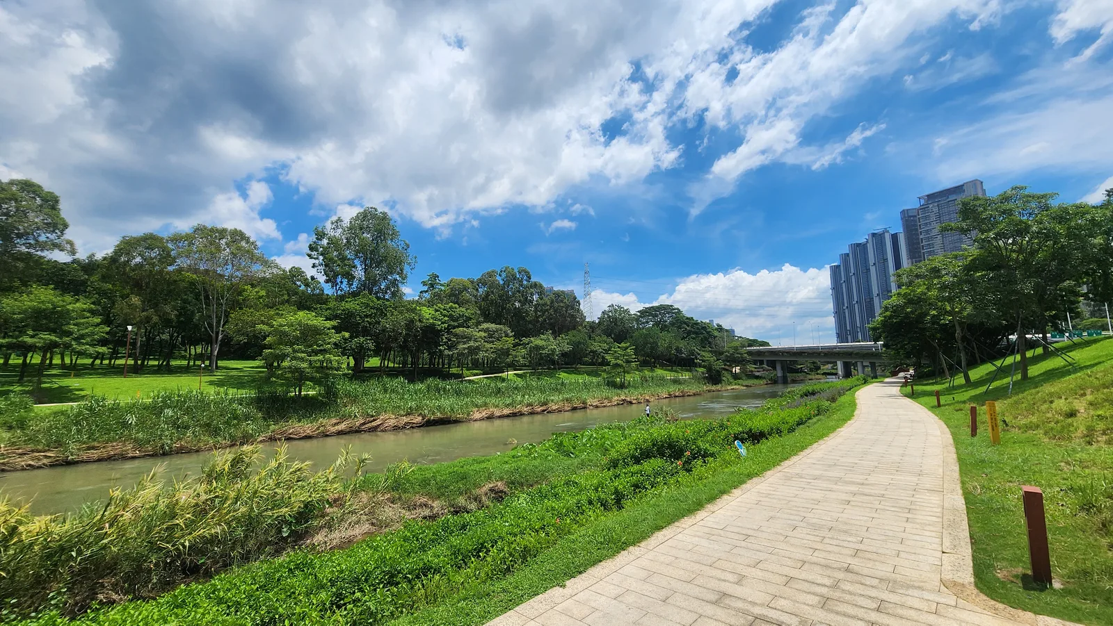 Atmosphere at Dashahe Ecology Corridor Shenzhen — travel photo