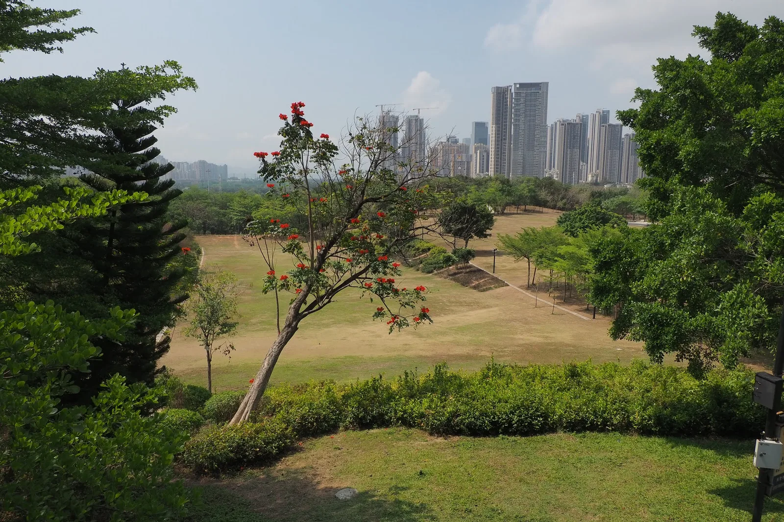 Dashahe Park — family guide Shenzhen