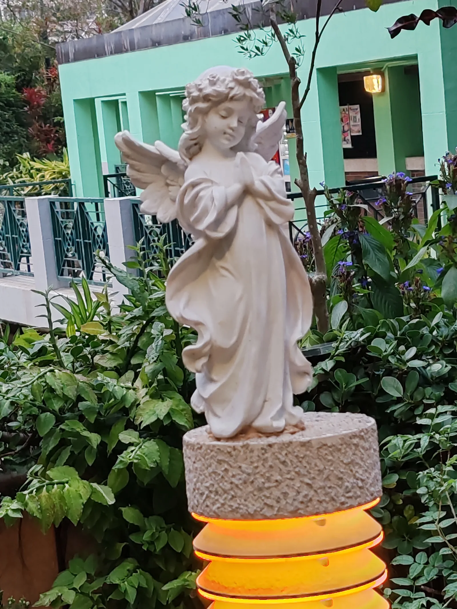 Details at Donghu Park Shenzhen — travel photo