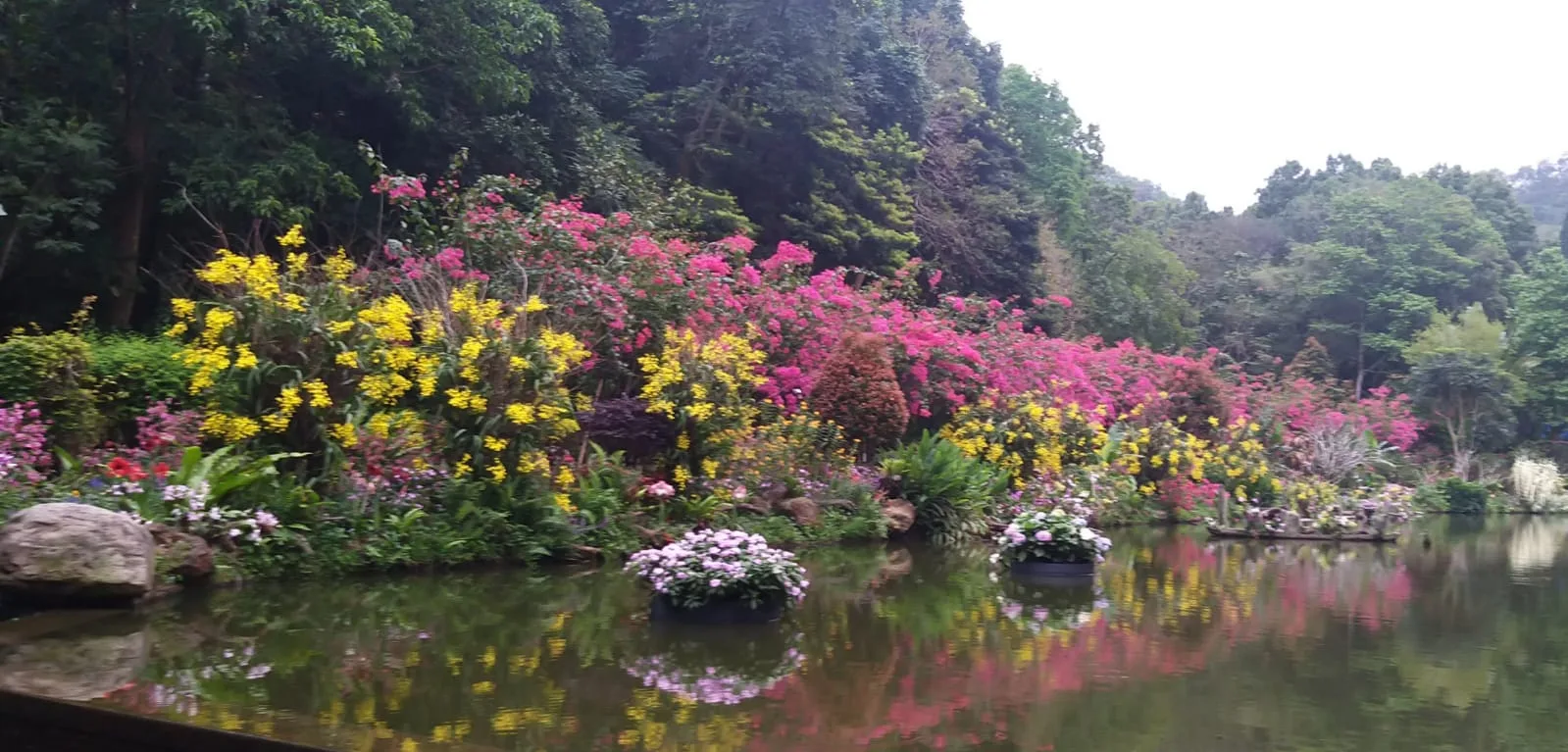Main view at Hongfa Temple Shenzhen — travel photo