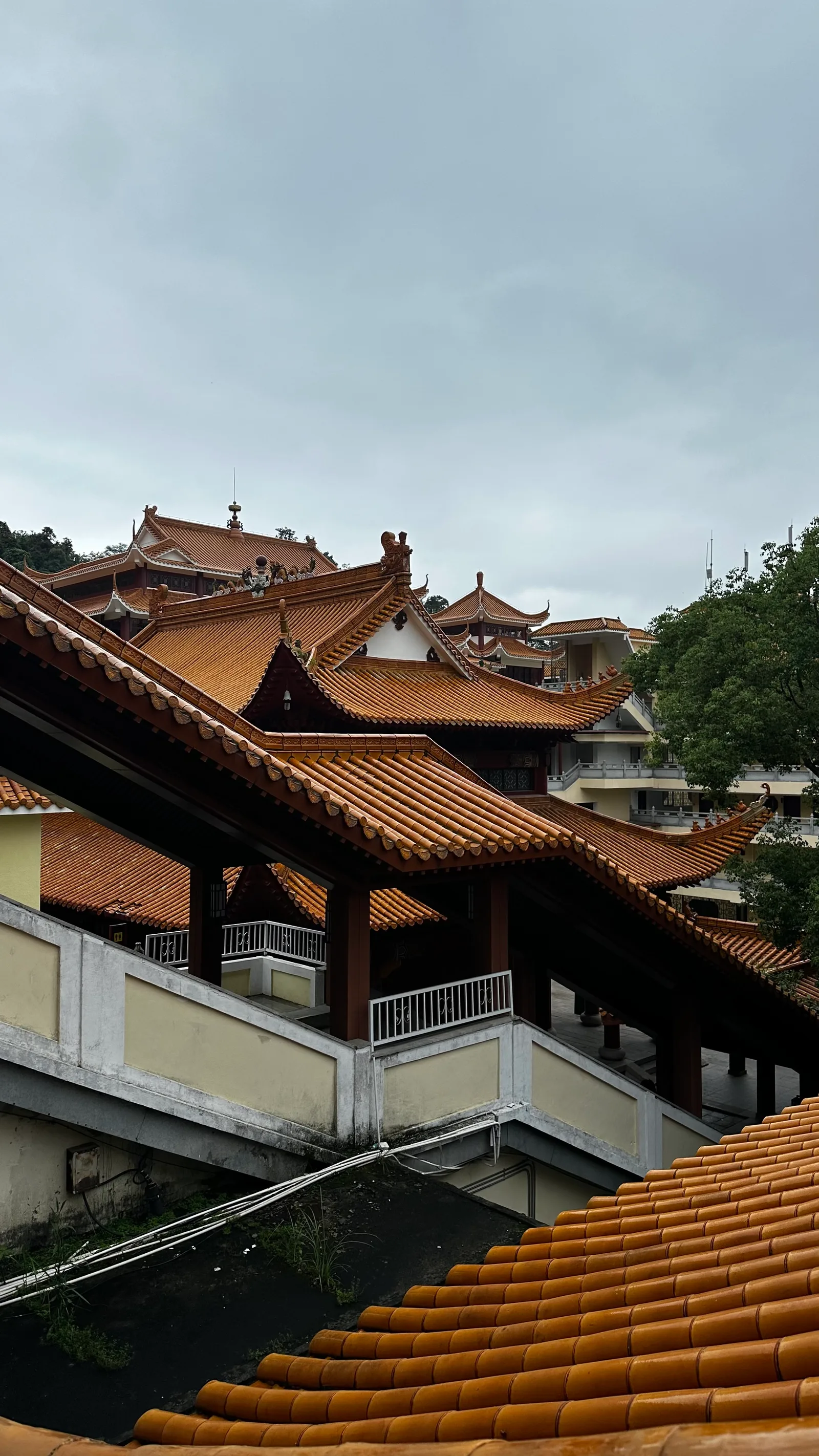 Details at Hongfa Temple Shenzhen — travel photo