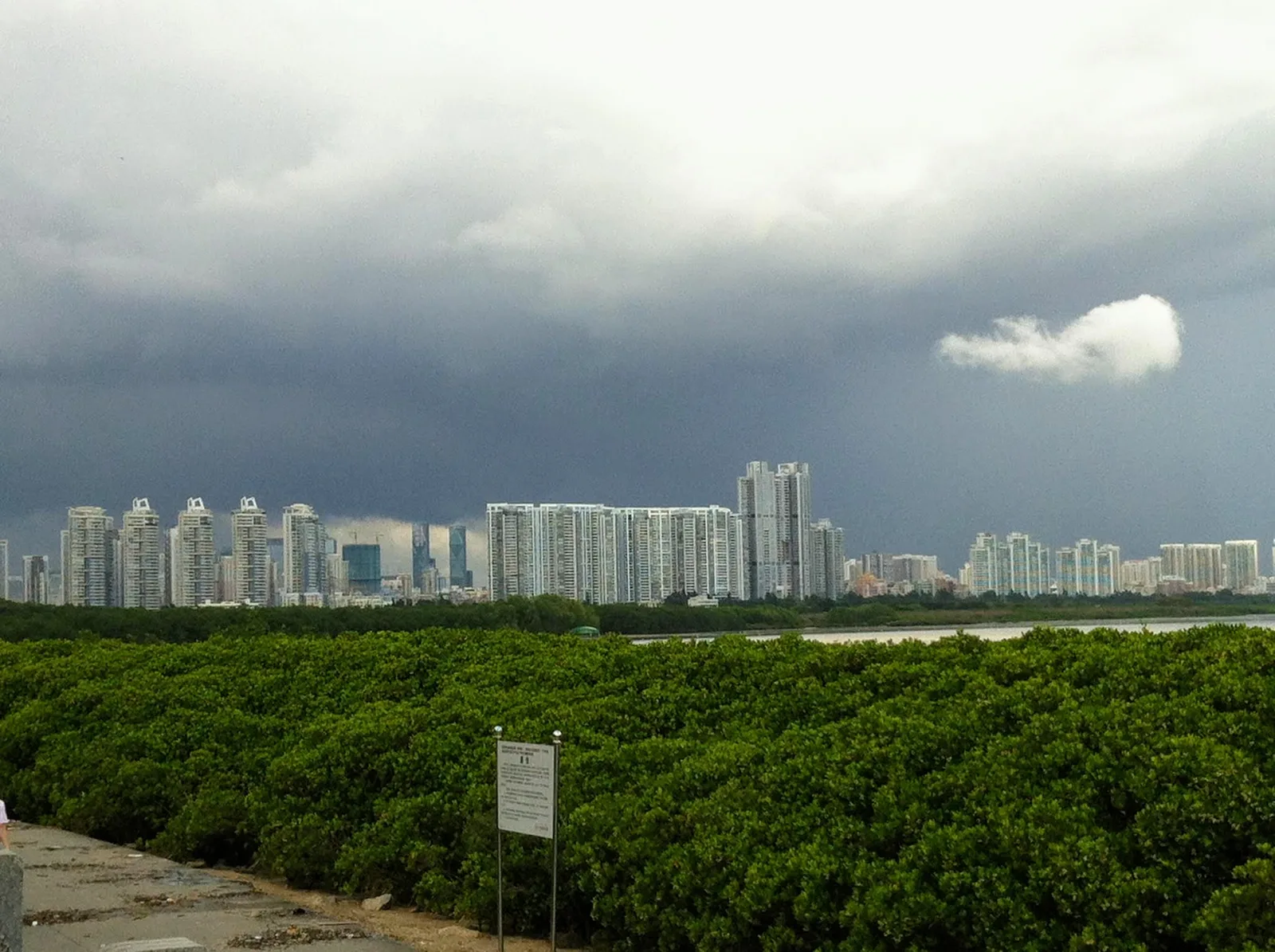 Interior at Mangrove Lin Haibin Park Shenzhen — travel photo