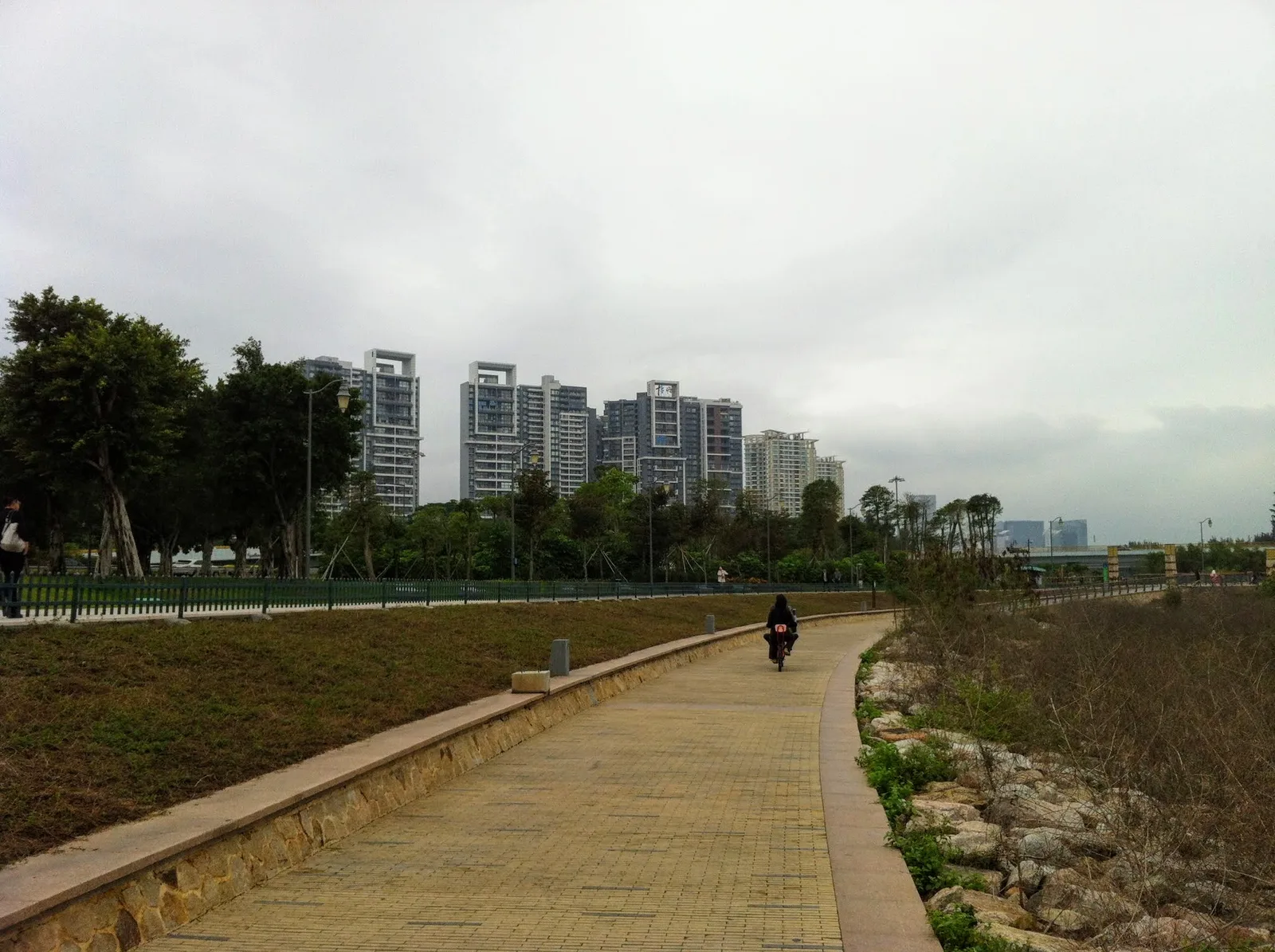 Details at Mangrove Lin Haibin Park Shenzhen — travel photo